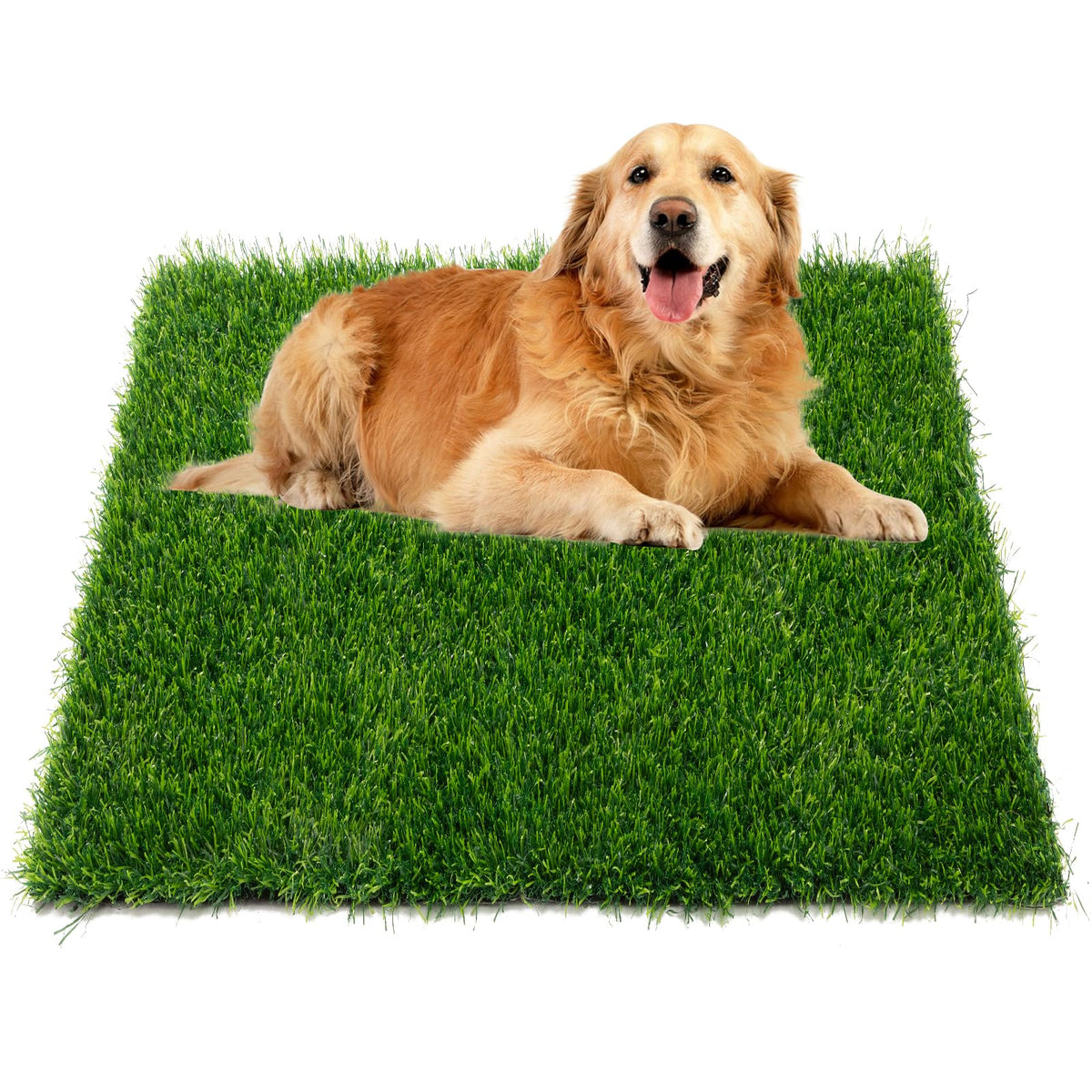 Ondware tapis-herbe-chien-potty-grand, surface spacieuse idéale pour l’entraînement en intérieur.