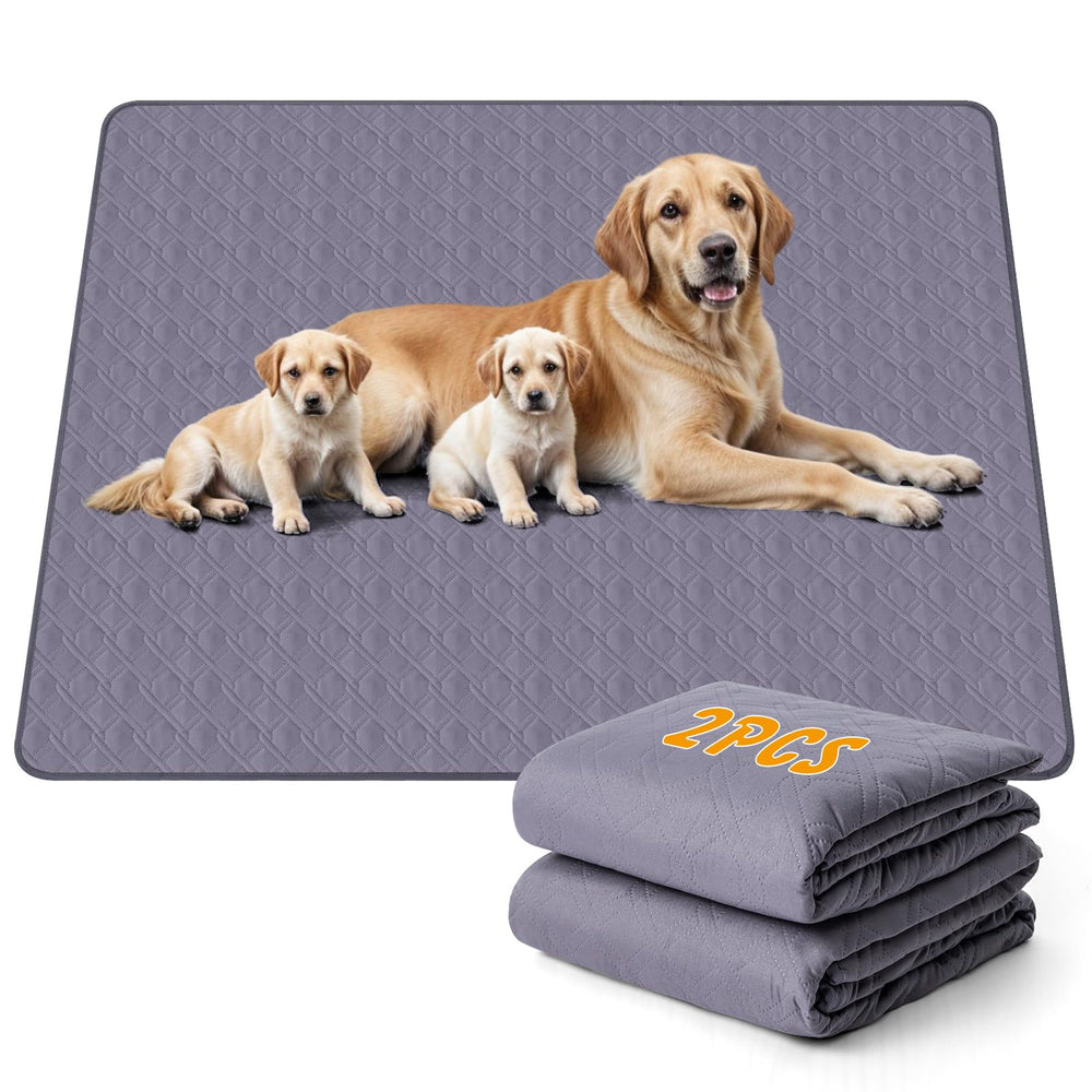 Ondware tapis lavables gris 60x48, ensemble – protection fiable du sol.
