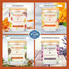 One Fur All bougie longue durée jusqu'à 60 heures pour votre salon.