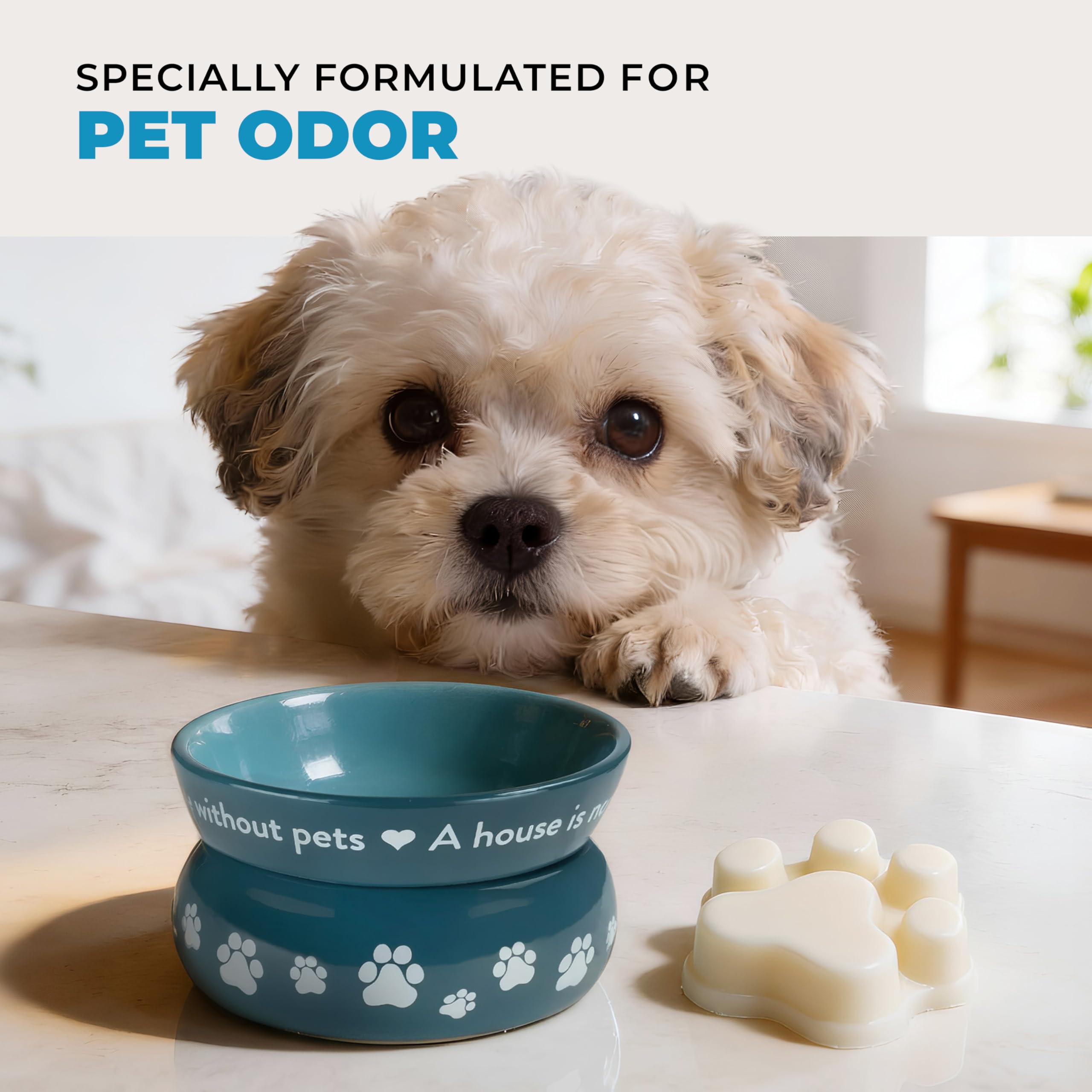 One Fur All Pet House: fabriqué aux États‑Unis pour familles avec animaux