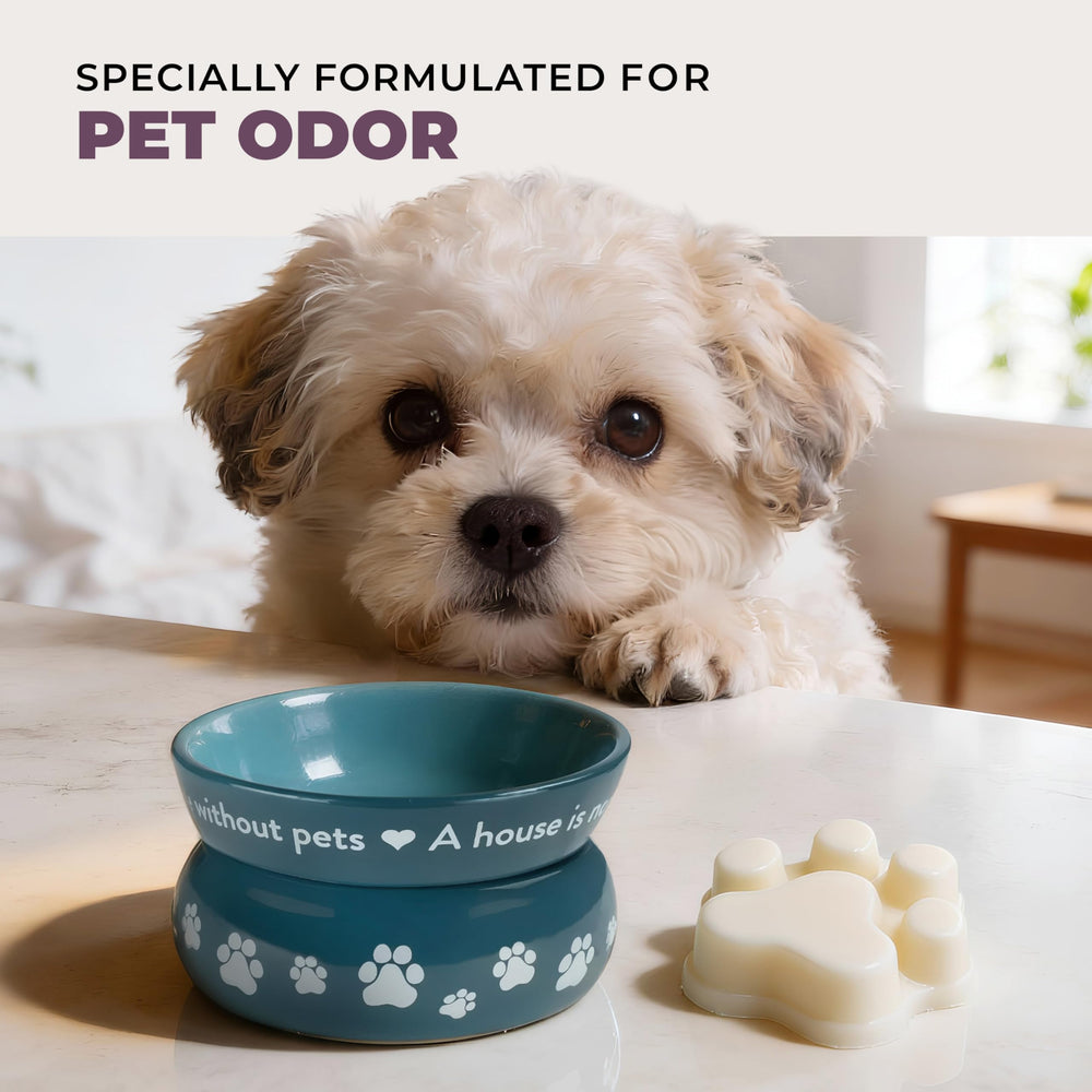 One Fur All Pet House lavande-thé-vert melts utilisation dans salon