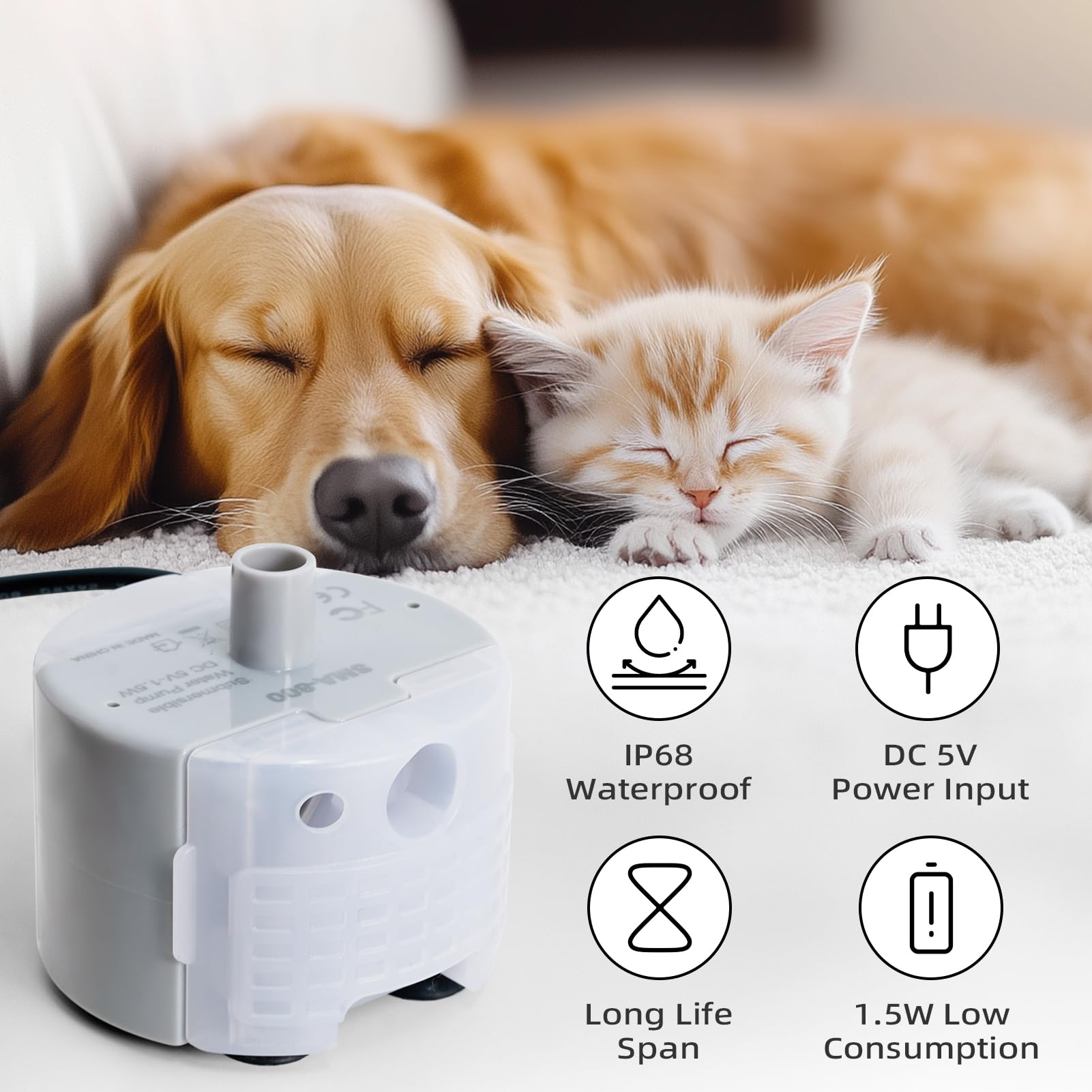 ONECUTE fontaine-inox-chat-pompe, compatible et facile à installer