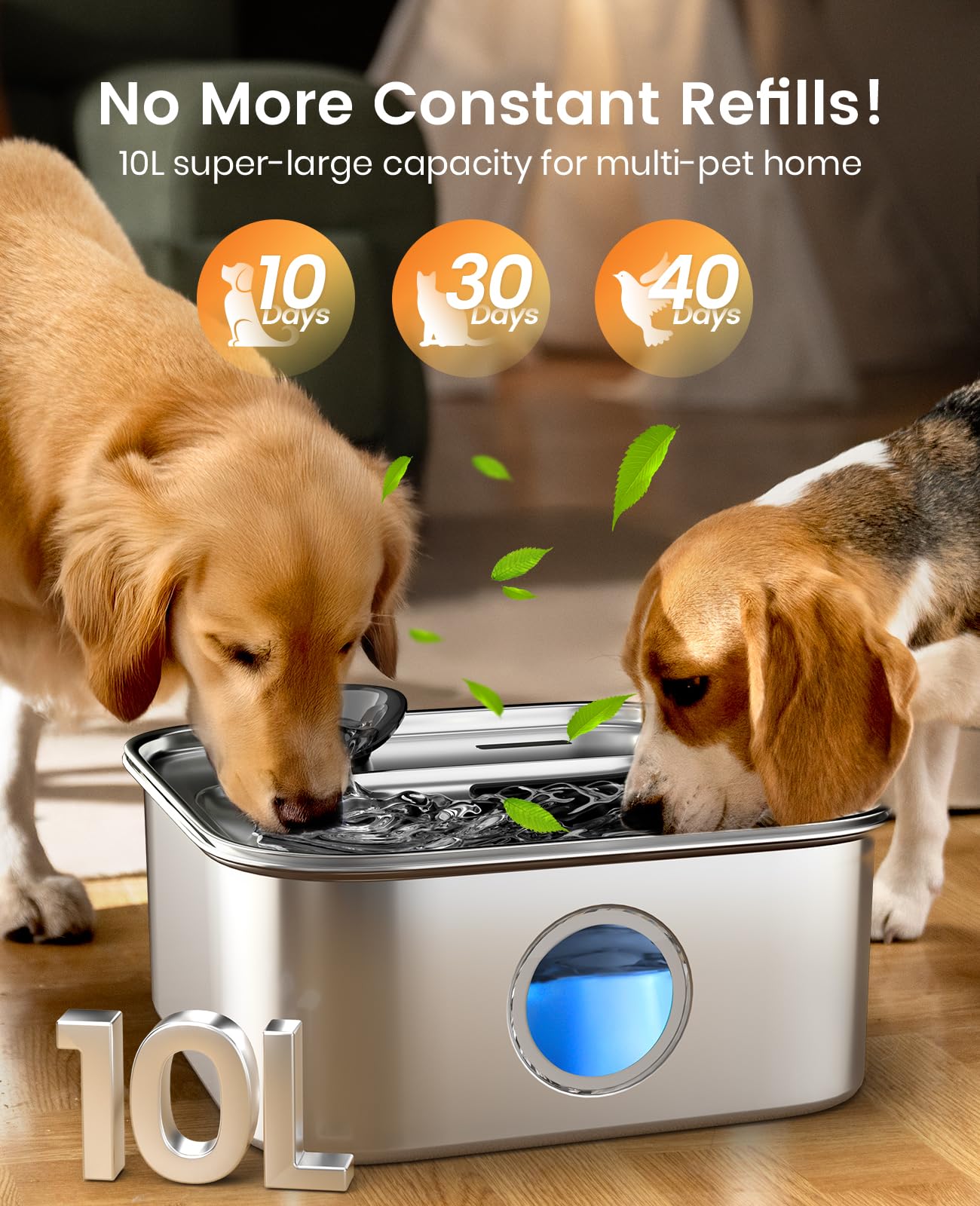 Oneisall bol inox alimentaire: bol sûr et durable sans plastique.