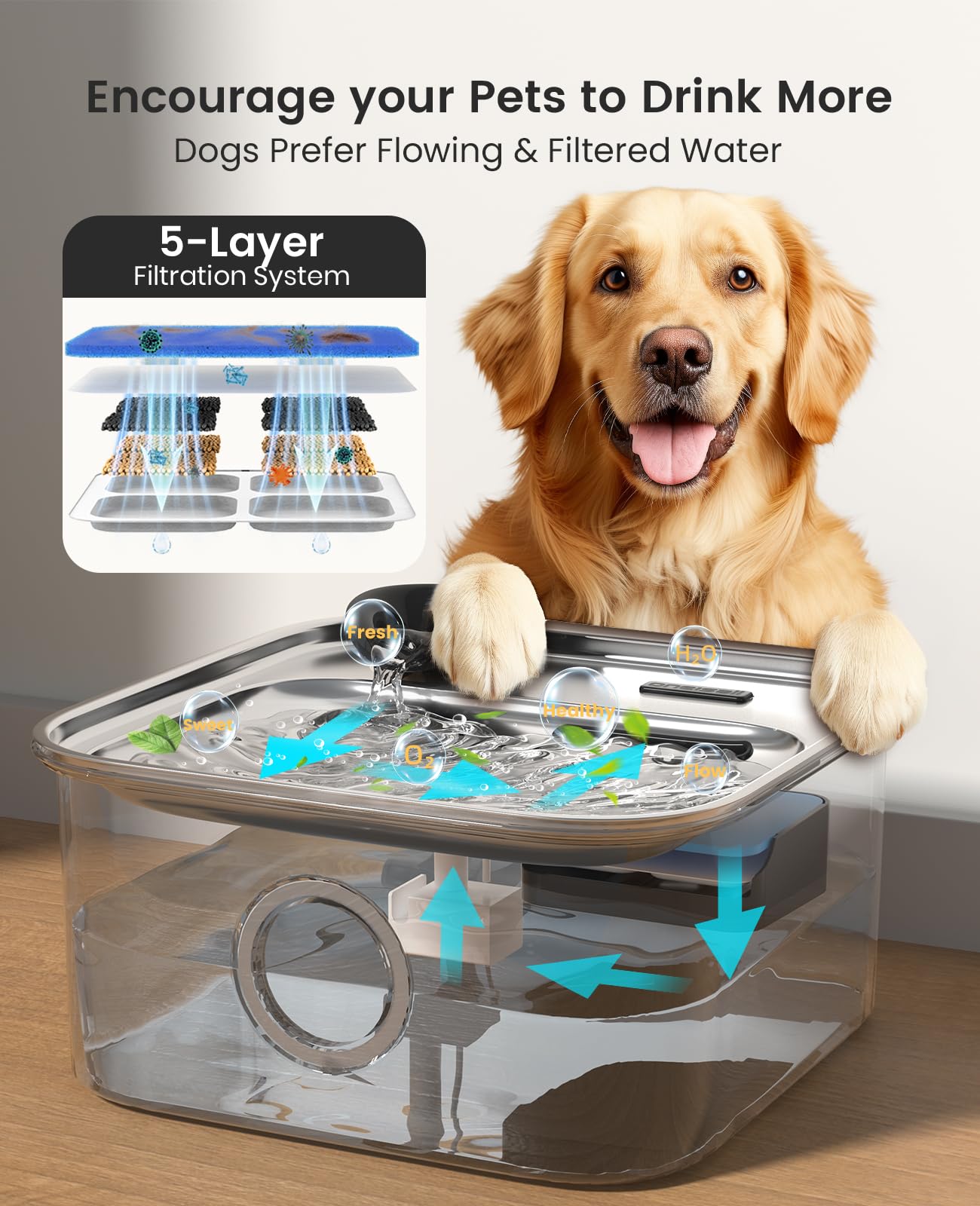 Oneisall fontaine eau chien filtre lavable pour eau claire