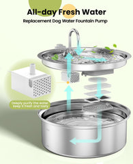 Oneisall fontaine en inox 304 durable pour chiens, hygiène et sécurité