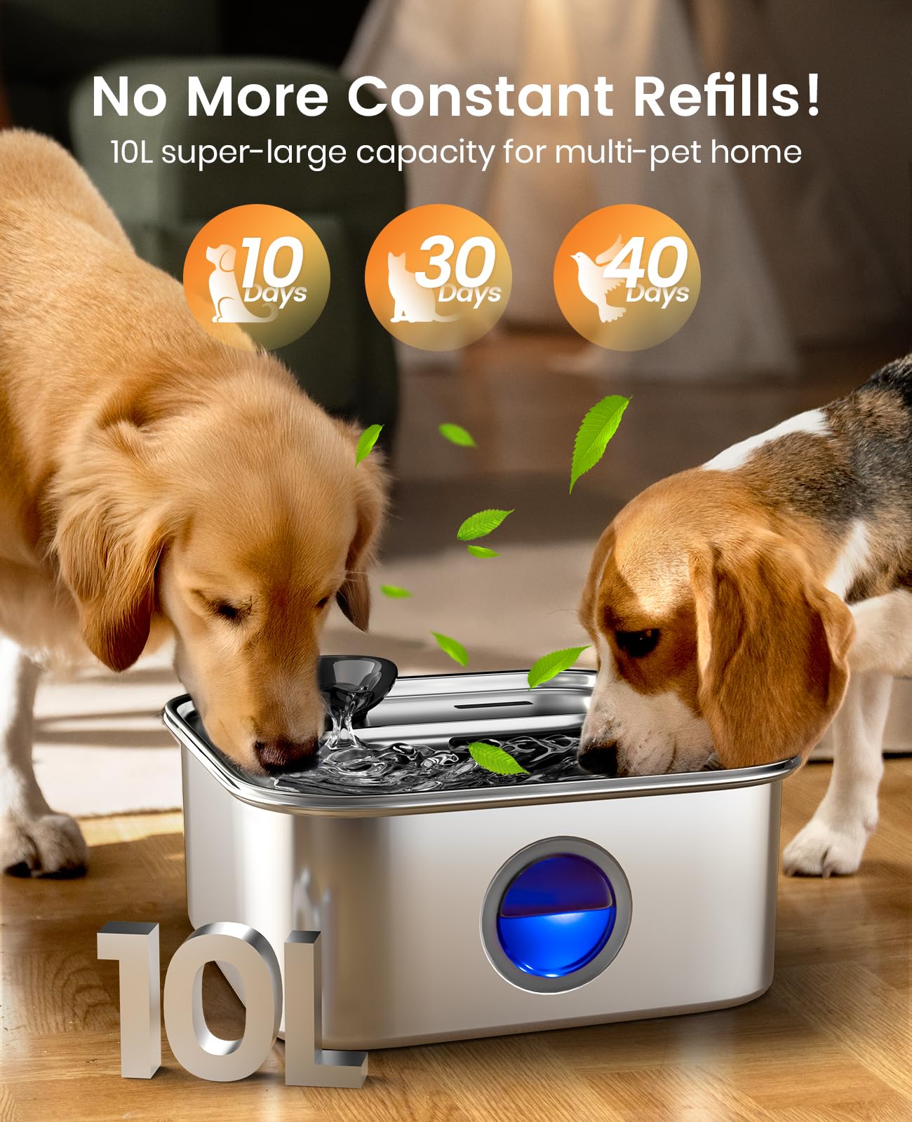 Oneisall fontaine eau chien pompe silencieuse pour hydratation discrète