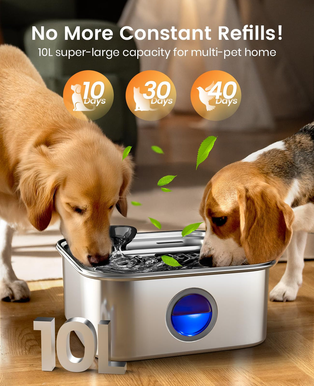 Oneisall fontaine eau chien pompe silencieuse pour hydratation discrète