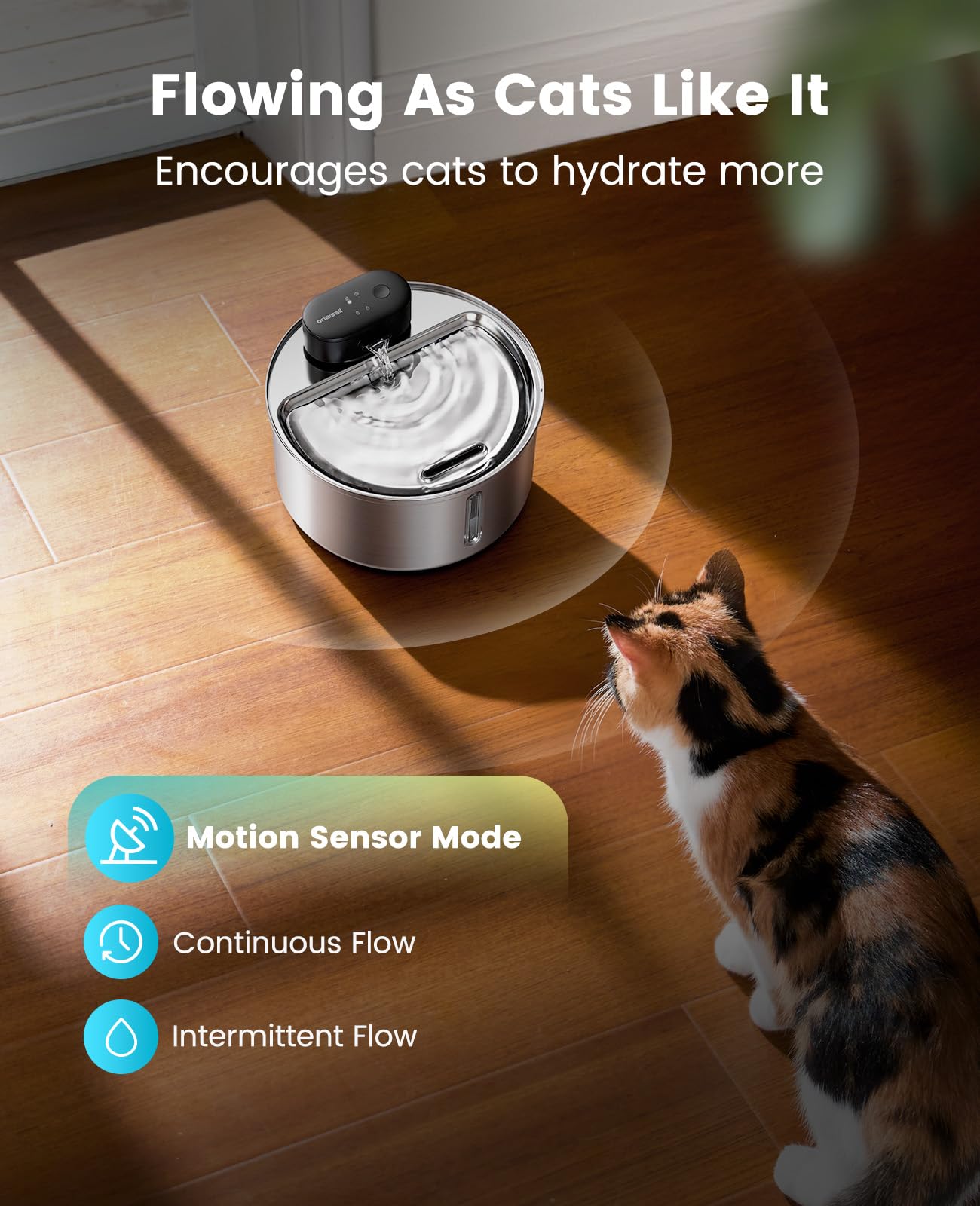 Oneisall utilisation quotidienne pour hydratation chat