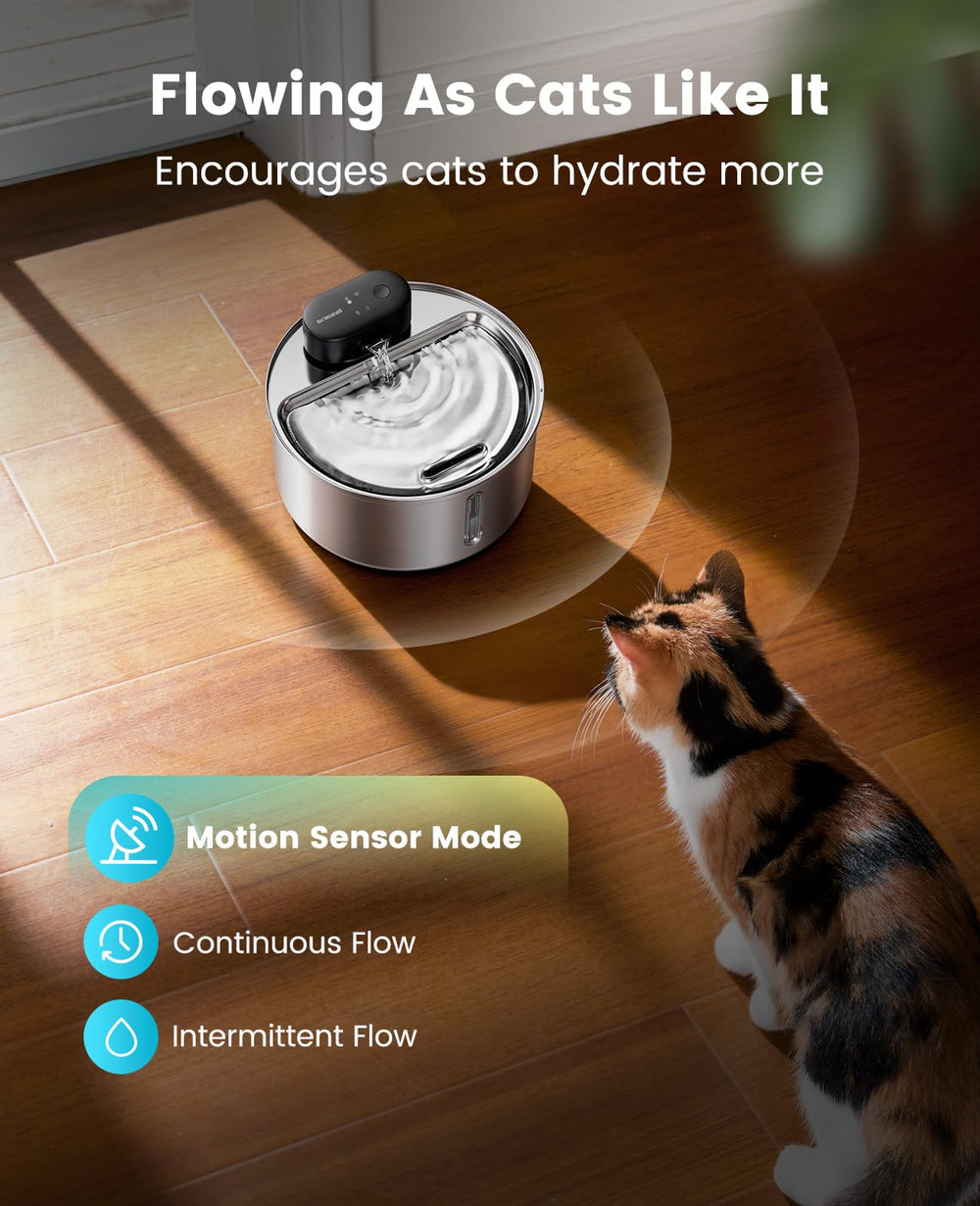 Oneisall utilisation quotidienne pour hydratation chat