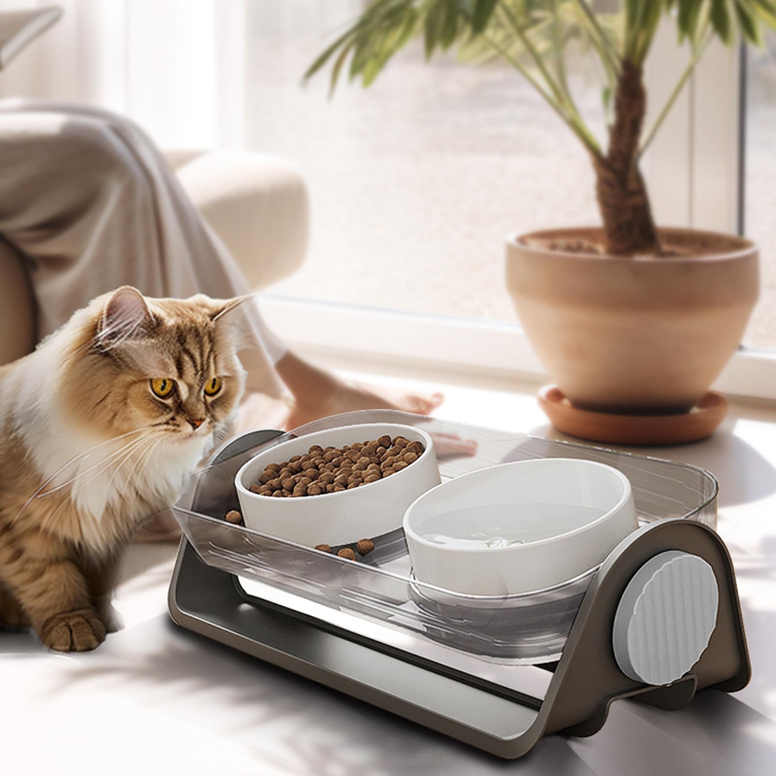 Oneluck design ergonomique chat: confort visuel et pratique