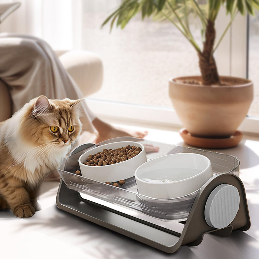 Oneluck design ergonomique chat: confort visuel et pratique