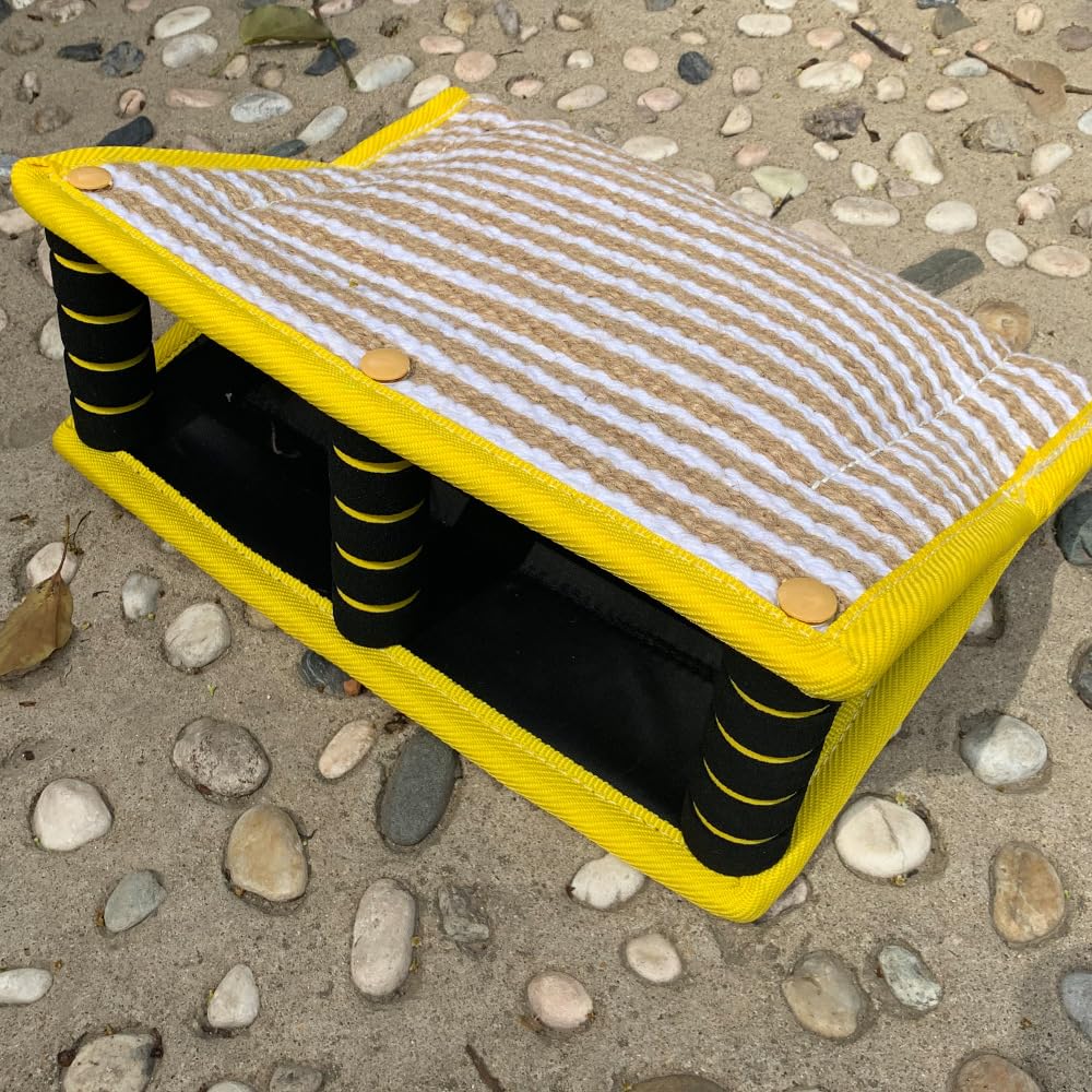ONEPETT utilisation interactive avec chien pour renforcer les commandes.