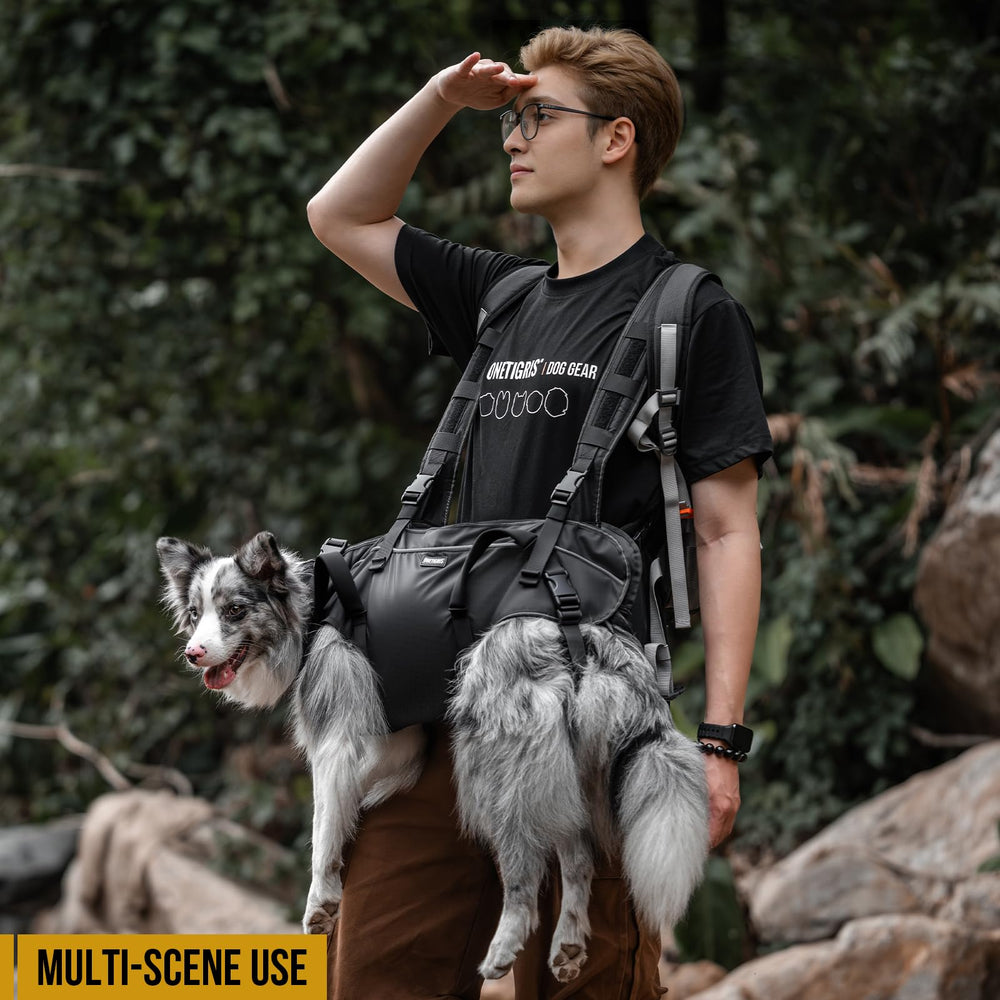 OneTigris rangement intégré et tailles ajustables, polyvalent pour chiens âgés.