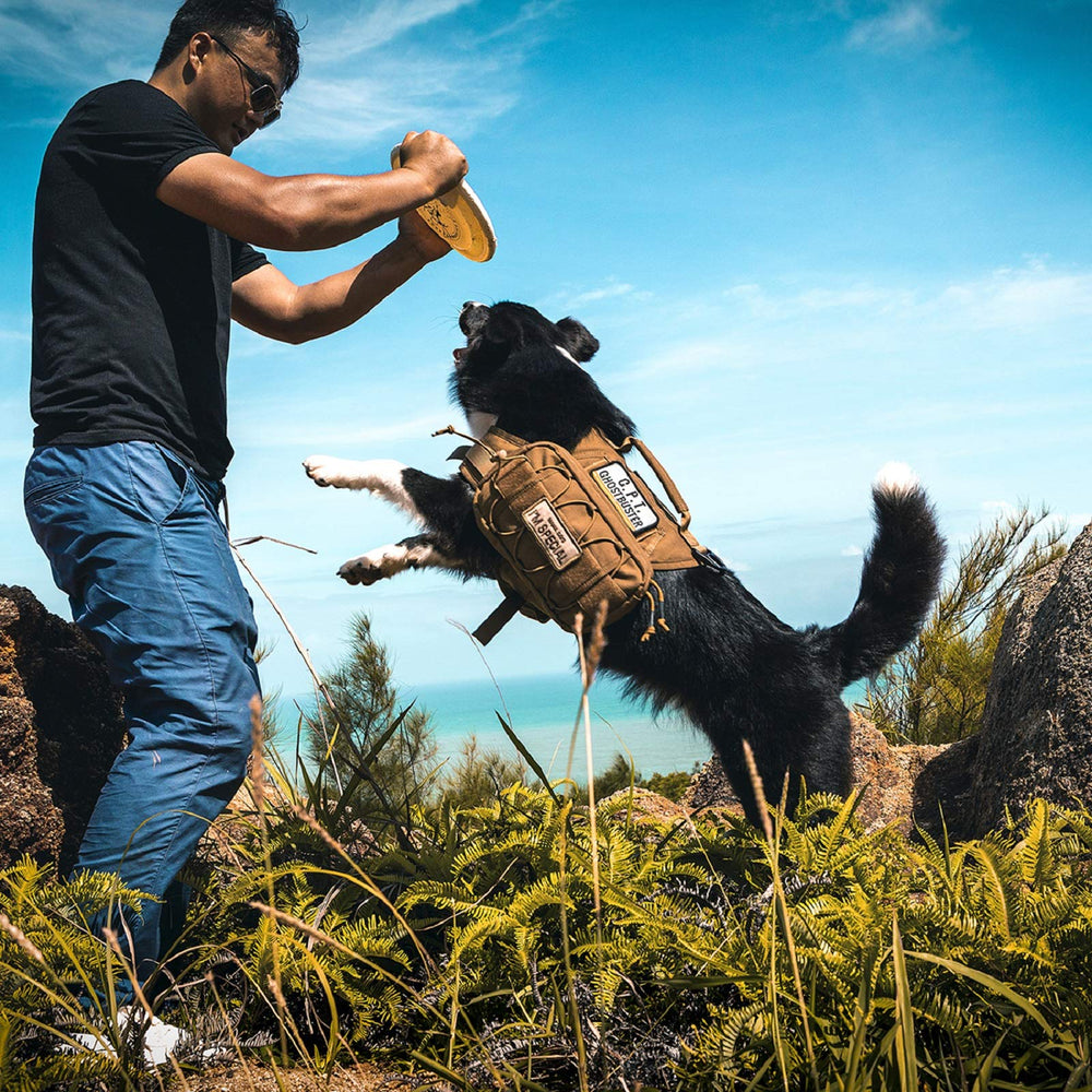 ONETIGRIS dimensions harnais chien moyen – conseils d’ajustement cou et poitrail.