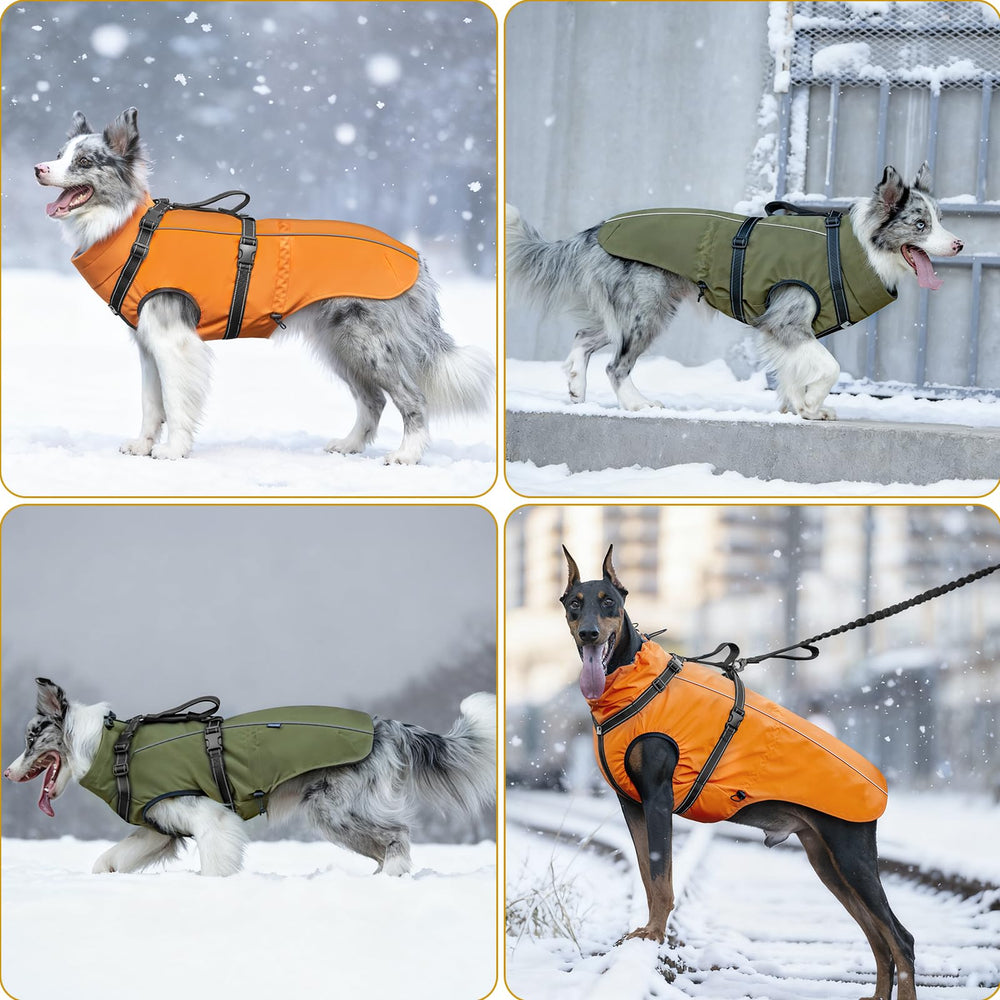Guide des tailles OneTigris pour chiens moyens et grands