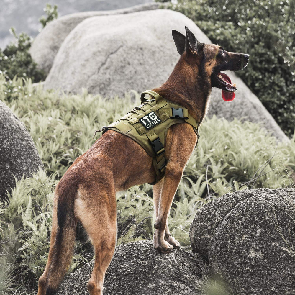 Harnais ONETIGRIS grande taille, adapté pour chiens plus grands.
