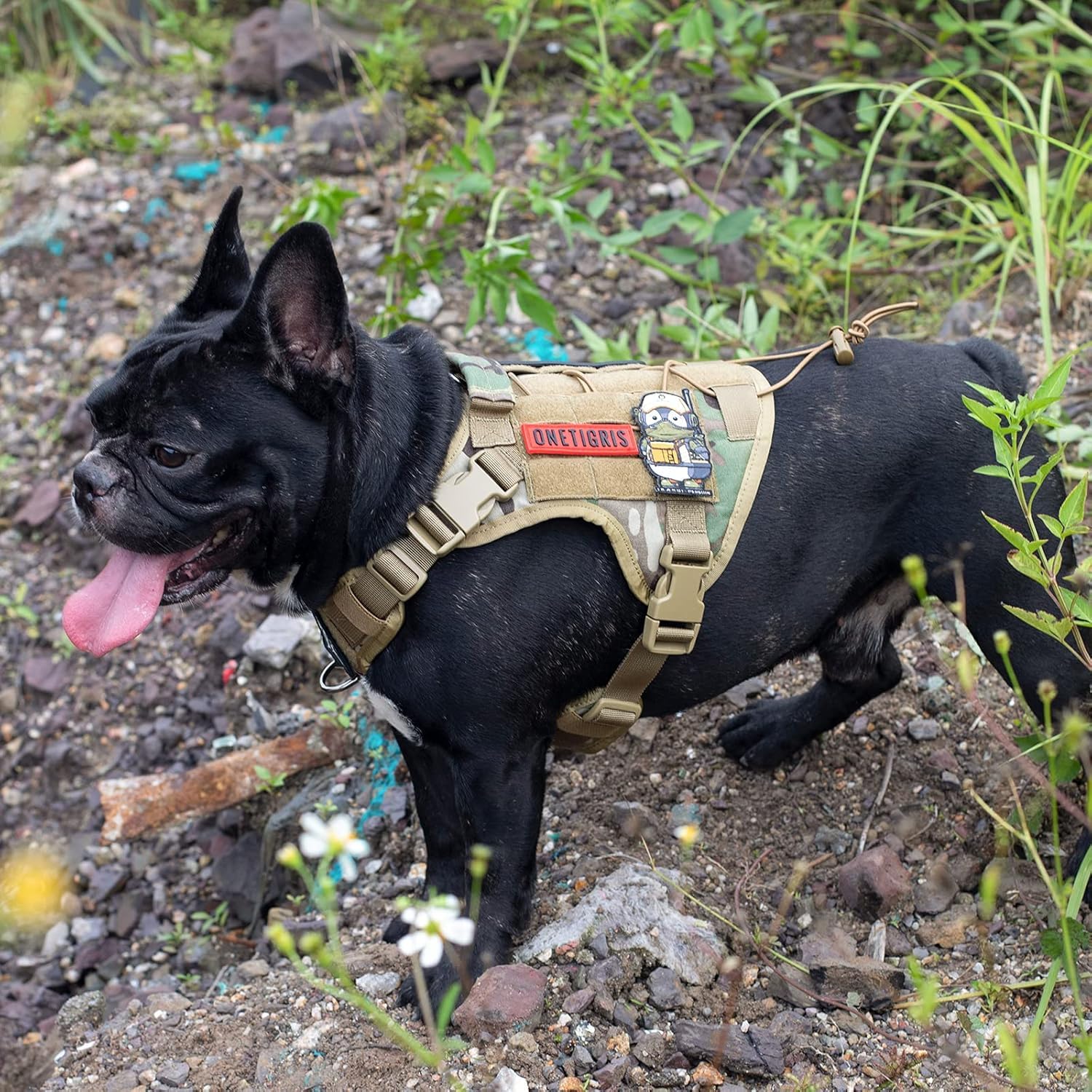 ONETIGRIS harnais-chien-tactique-camouflage: design adapté aux activités en plein air