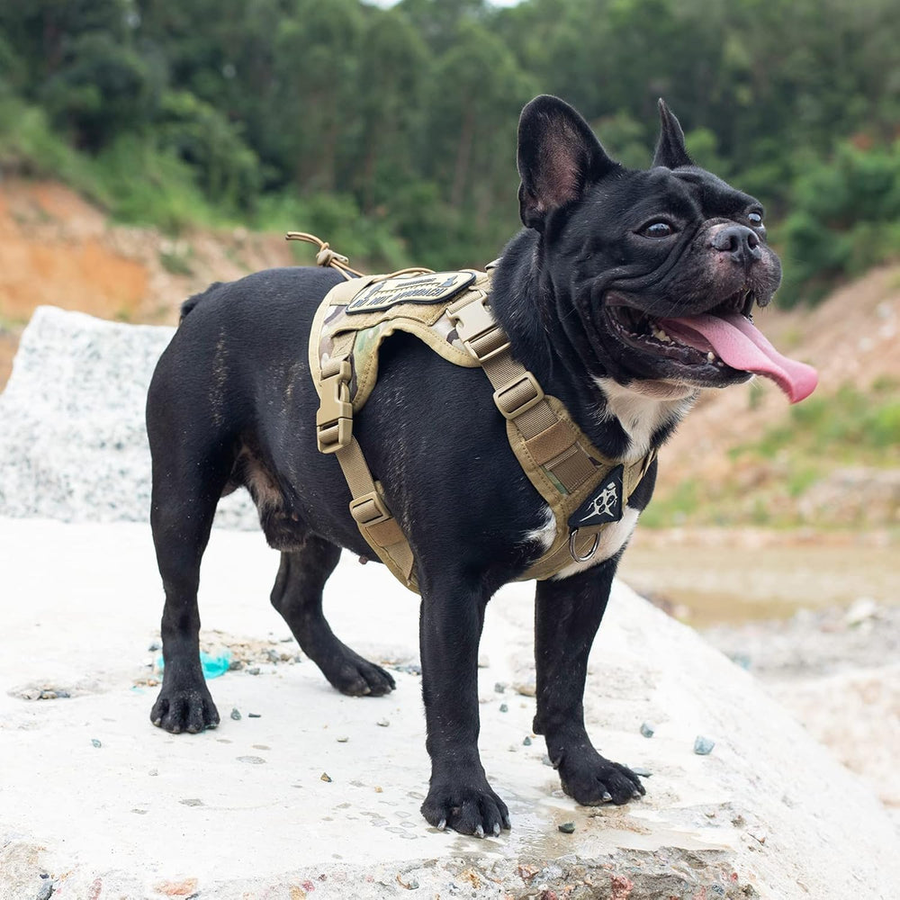 ONETIGRIS harnais-chien-tactique-nylon-1000d: matériau durable et port confortable