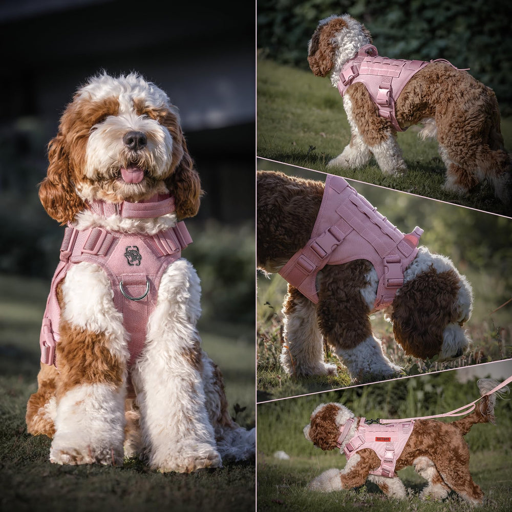 OneTigris Harnais Chien Tactique Rose – chien en action, idéal pour randonnées.