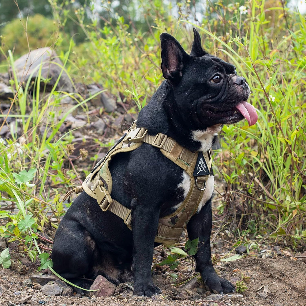 ONETIGRIS harnais-chien-tactique-v-ring-frontale: attache et traction facilitées
