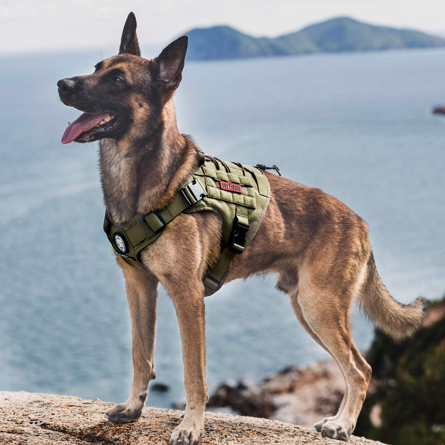 OneTigris harnais chien tactique profil droit, maintien sûr lors de la randonnée.