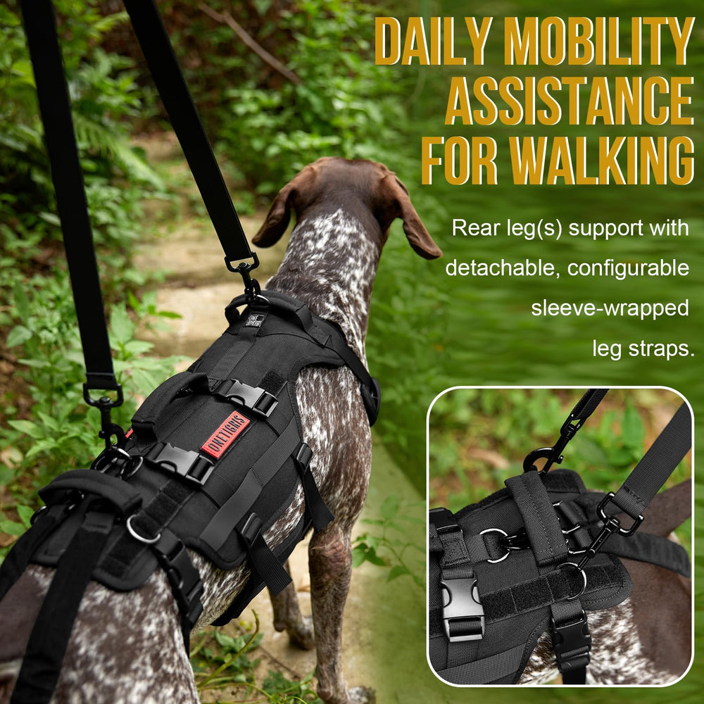 OneTigris harnais-design-360 mobilité complète, facile à ajuster.