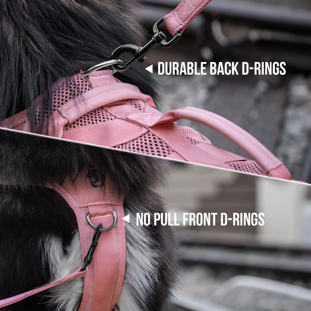 OneTigris harnais D-rings et boucles Duraflex pour le guidage.