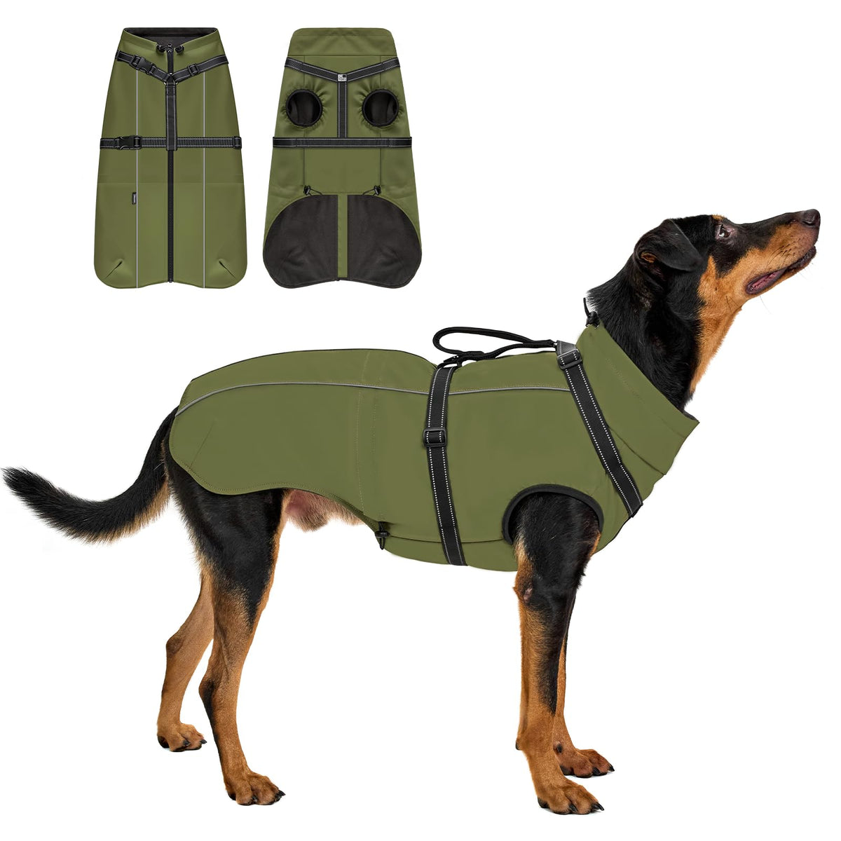 OneTigris manteau chien avec harnais réfléchissant en action pour promenade nocturne