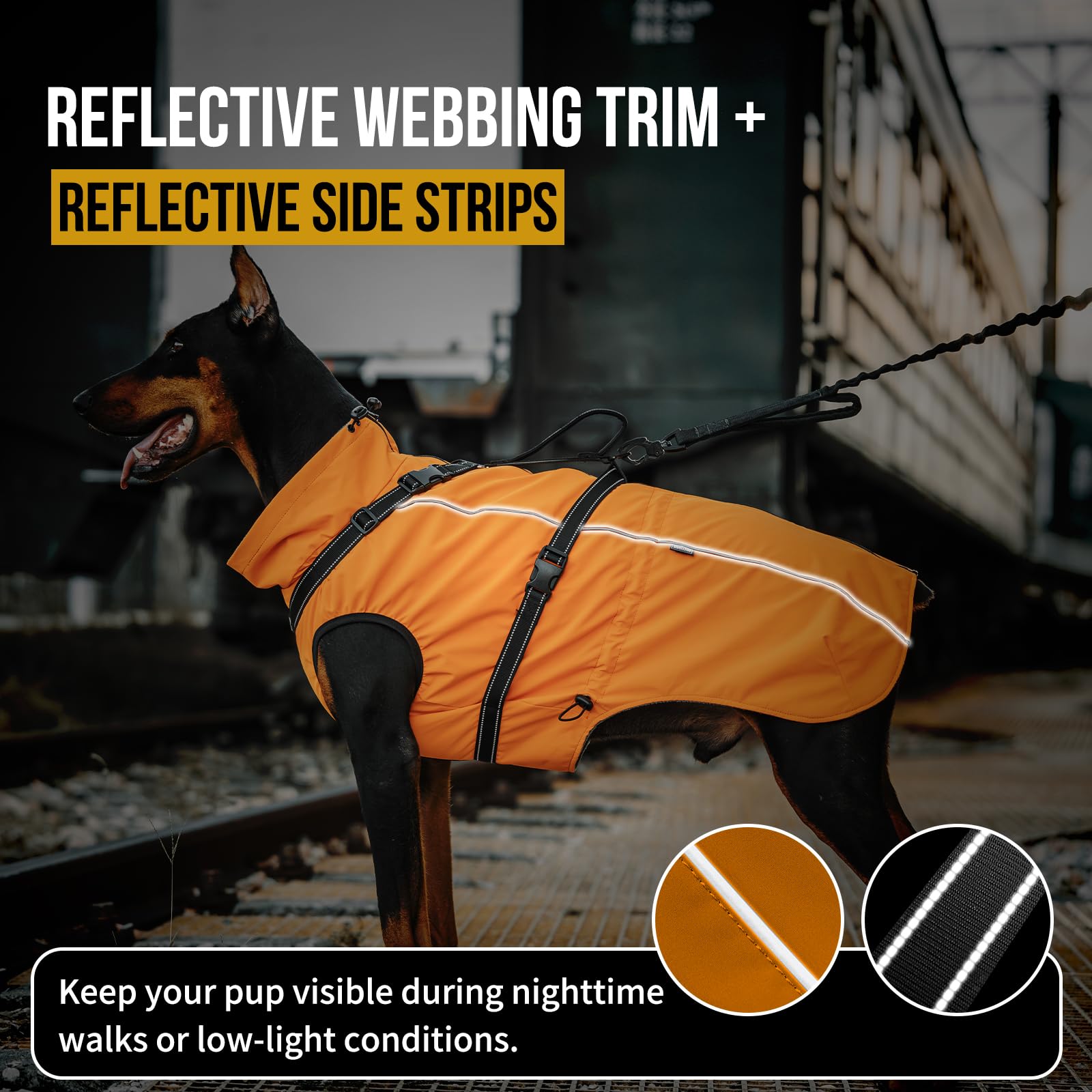 OneTigris manteau chien reflechissant, meilleure visibilité nocturne pour sorties.