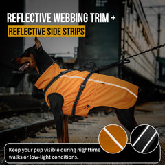 OneTigris manteau chien reflechissant, meilleure visibilité nocturne pour sorties.