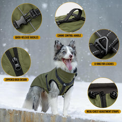 OneTigris manteau chien montre fermeture SBS au dos et ouverture rapide