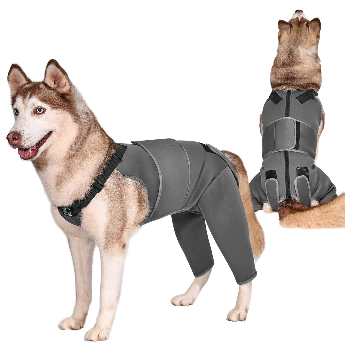ONETIGRIS recovery suit pour chien, vue générale, confort durable et facilité d'emploi.
