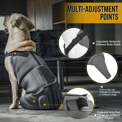 ONETIGRIS recovery suit pour chien, fermeture zippée, ajustement sûr après chirurgie.