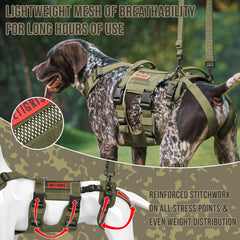Anneaux en acier inoxydable ONETIGRIS, attache durable et fiable.