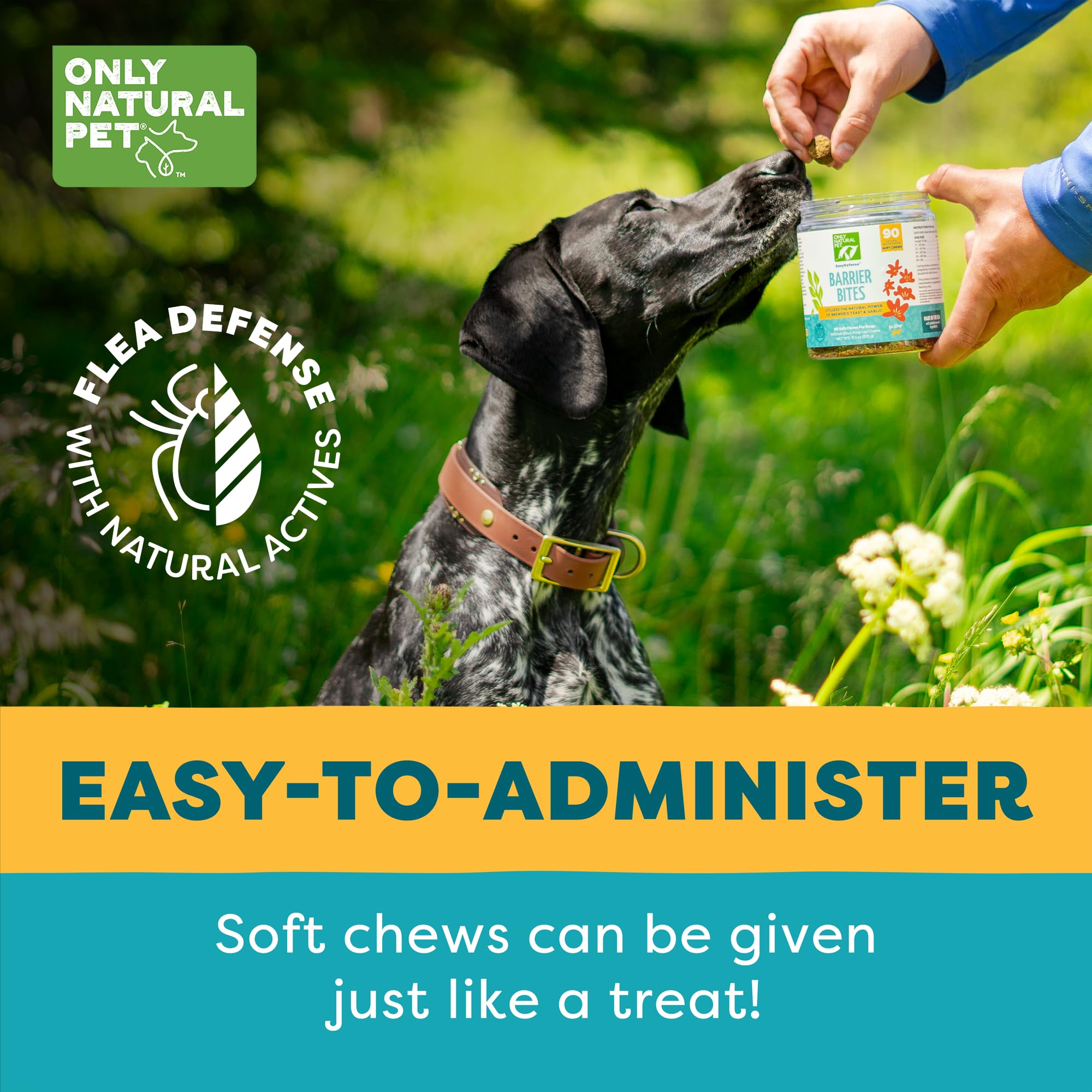 Only Natural Pet EasyDefense Bites, adaptées à toutes les tailles de chiens pour une routine simple.