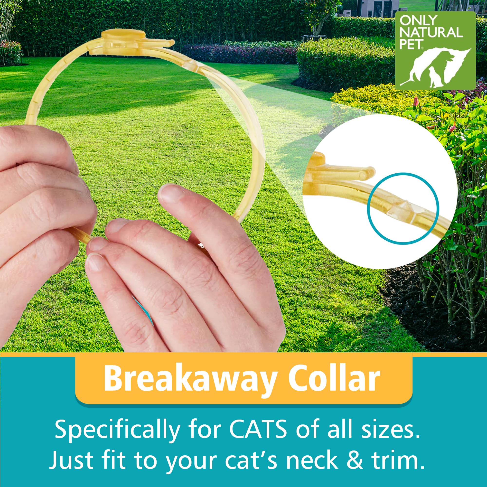 Only Natural Pet EasyDefense collier-chat porté par le chat, confort et sécurité.
