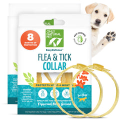 Aperçu du collier Only Natural Pet EasyDefense pour chien, protection durable contre puces et tiques.