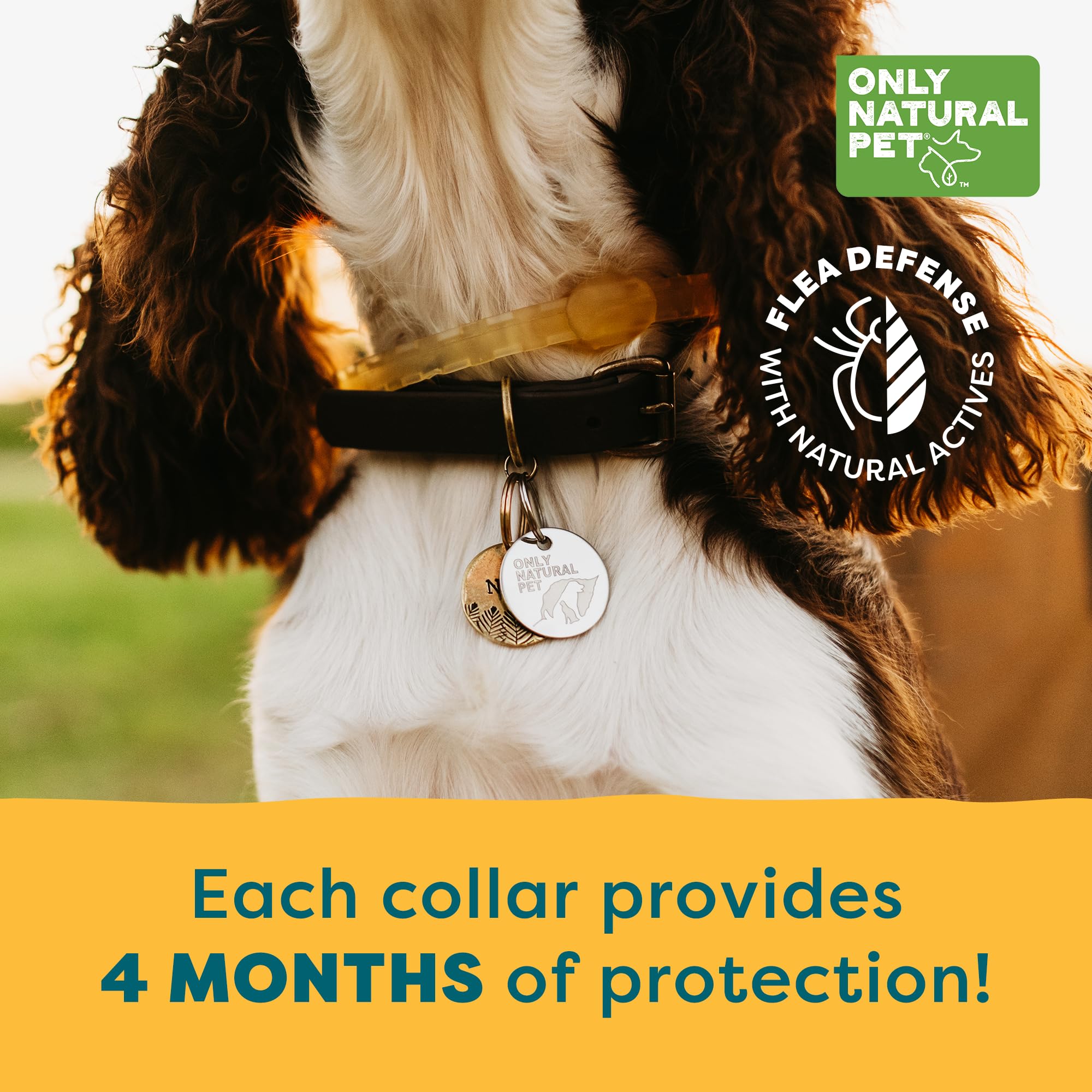 Ingrédients naturels geraniol, citronnelle et cannelle, EasyDefense pour chien.
