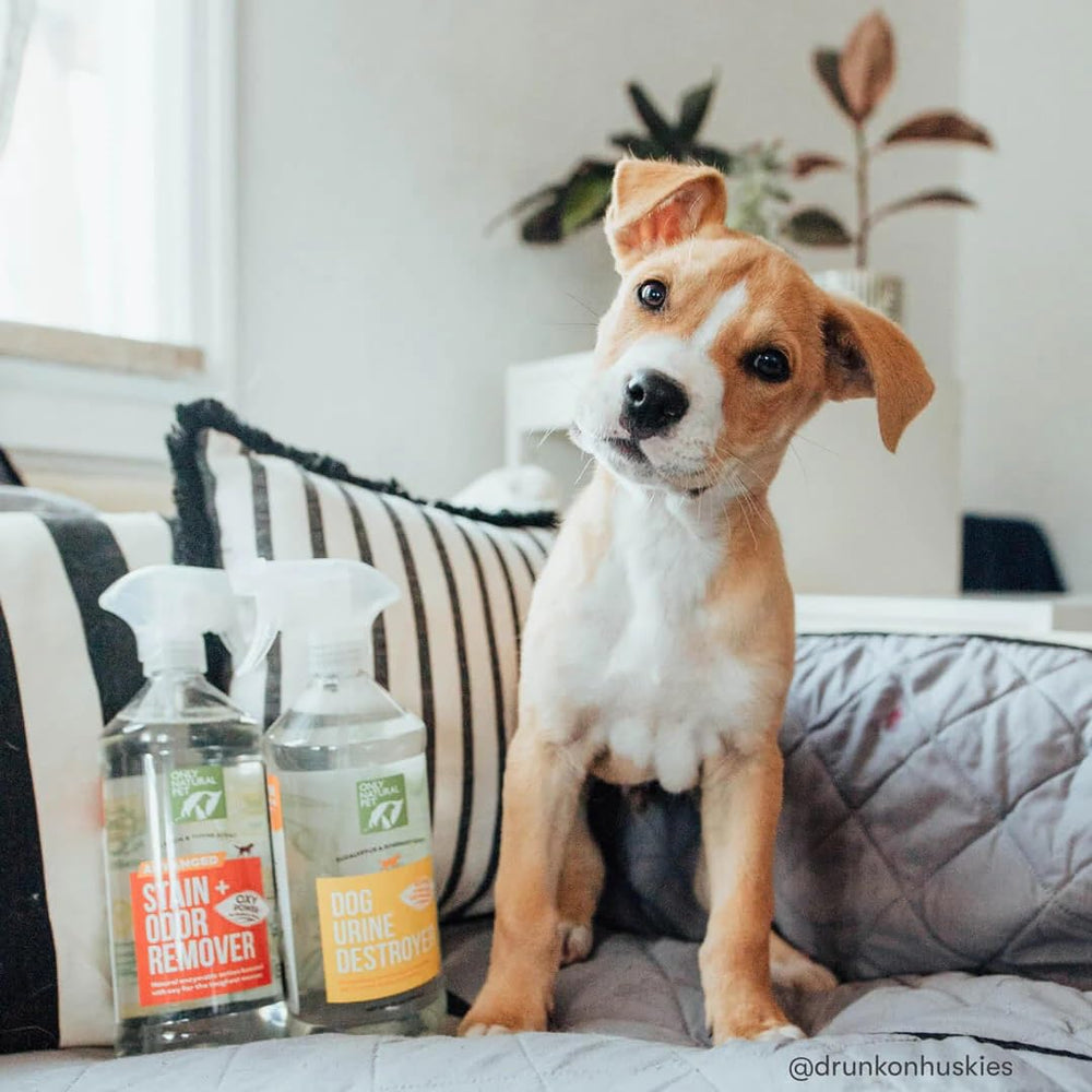 Only Natural Pet garantie-satisfaction client.