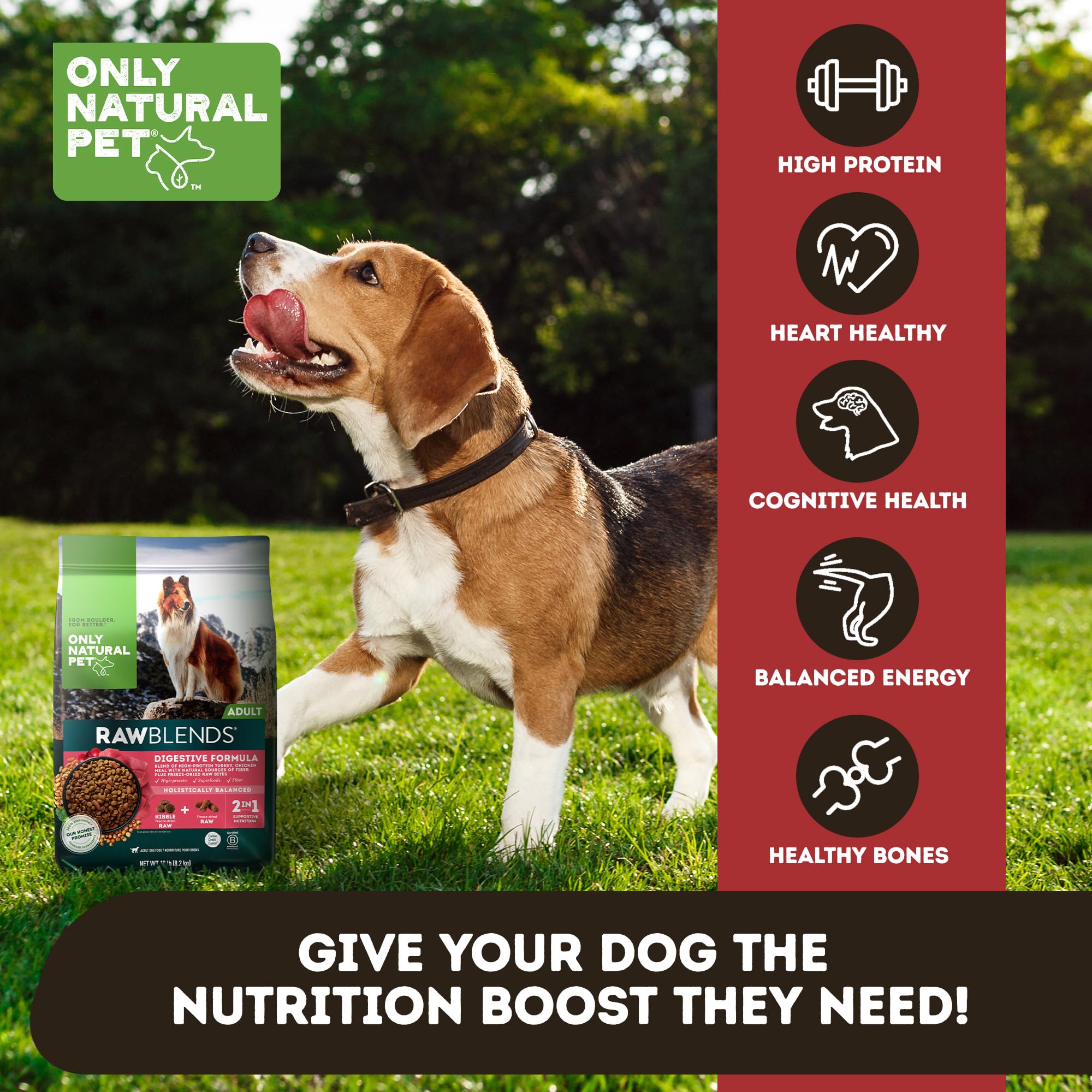 Only Natural Pet ingrédients frais: alimentation canine avec ingrédients frais et goût authentique.