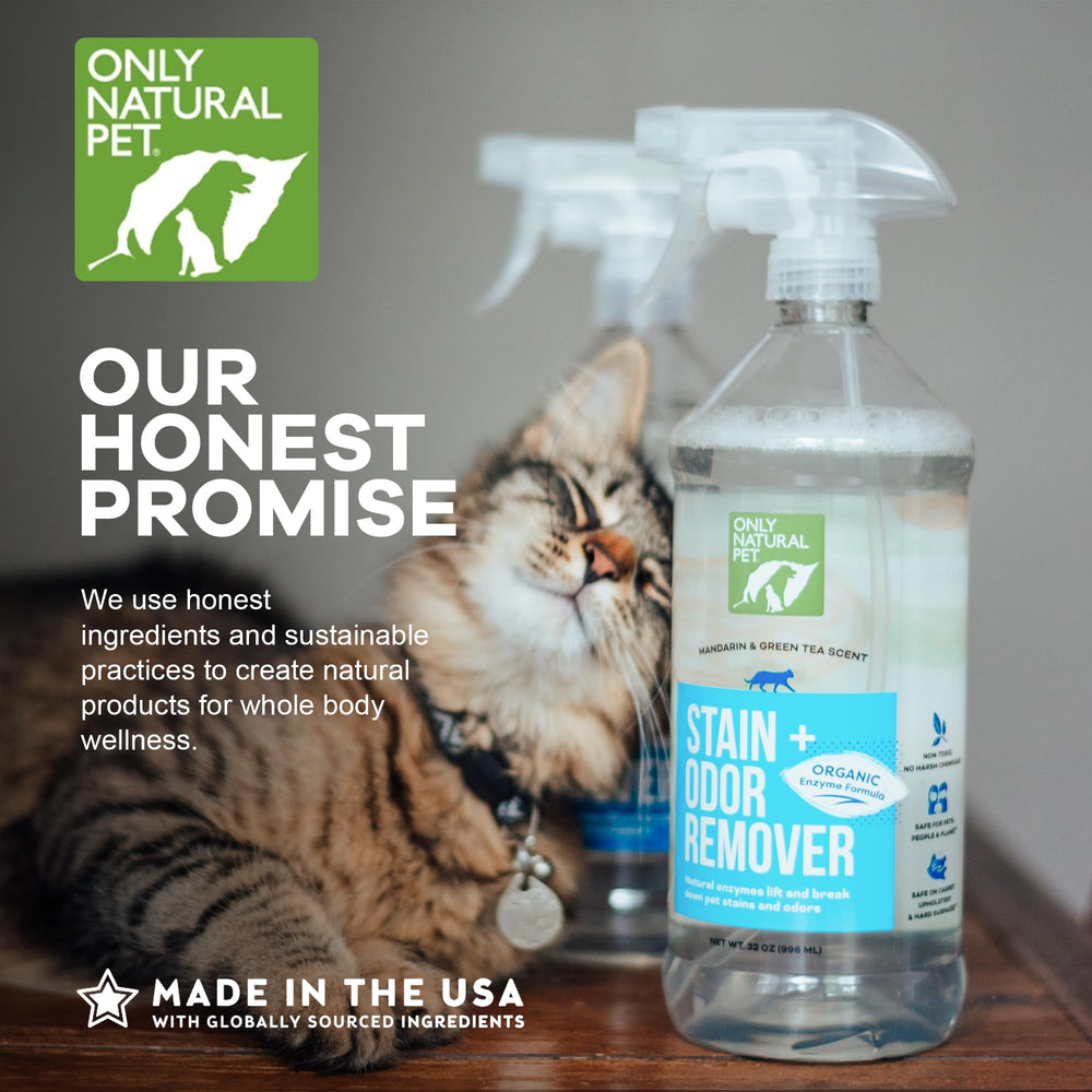 Only Natural Pet – Nettoyage des tapis et textiles rembourrés.