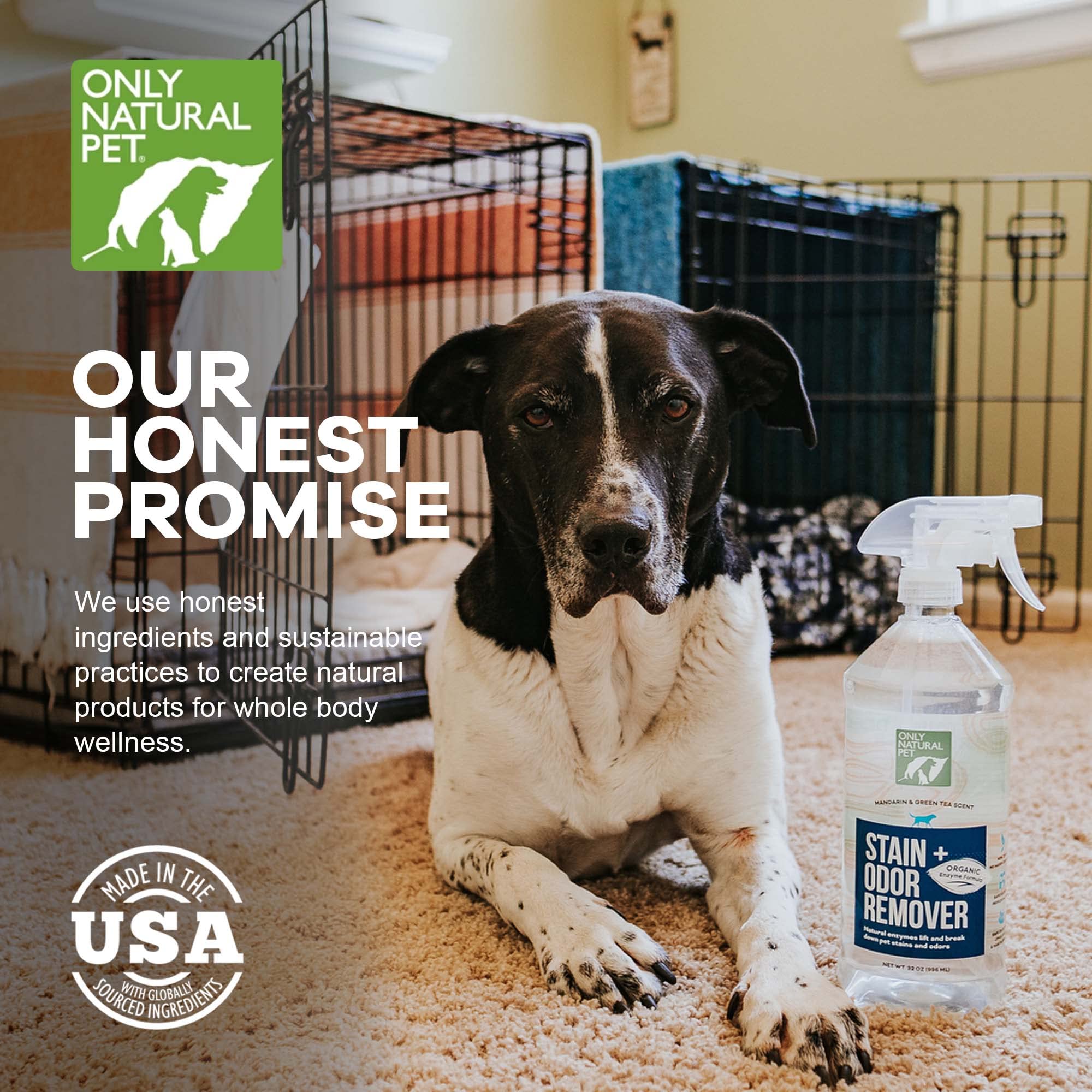 Only Natural Pet nettoyant bois planchers taches — convient pour surfaces durables.