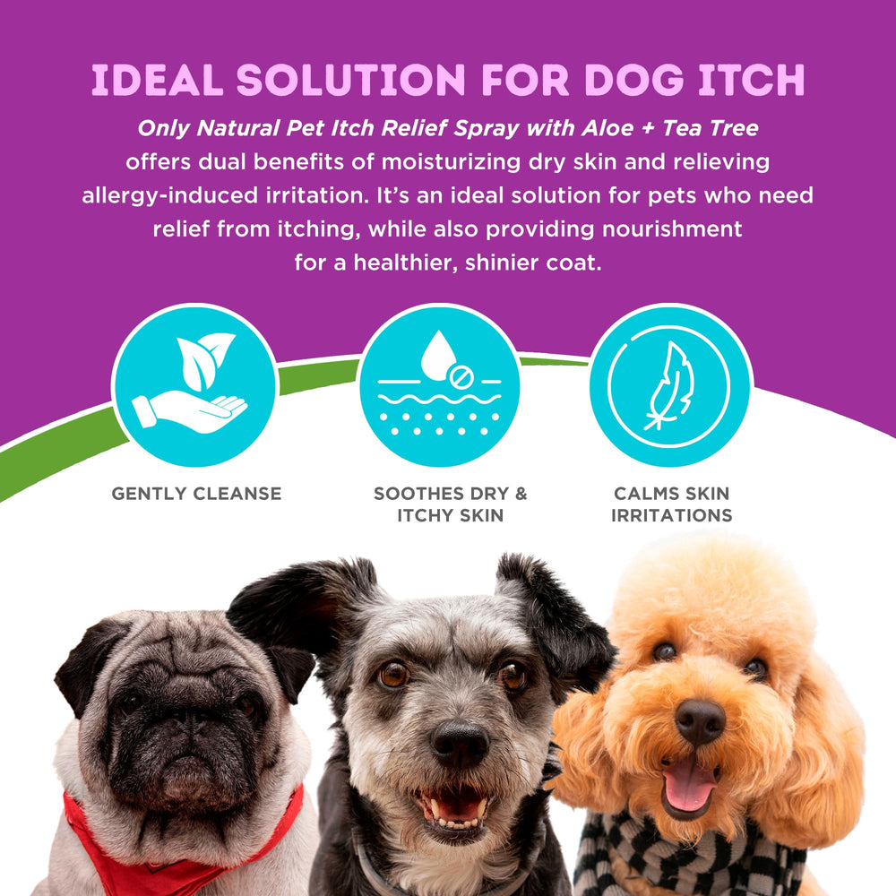 Only Natural Pet – pelage hydraté chien, effet nourrissant.