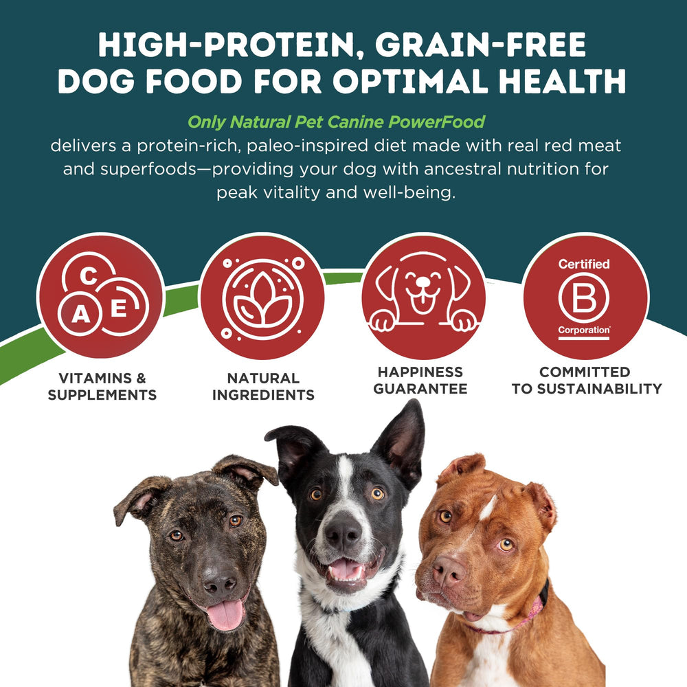 Only Natural Pet PowerFood – nourriture-chien-viande-rouge: texture agréable lors des repas.
