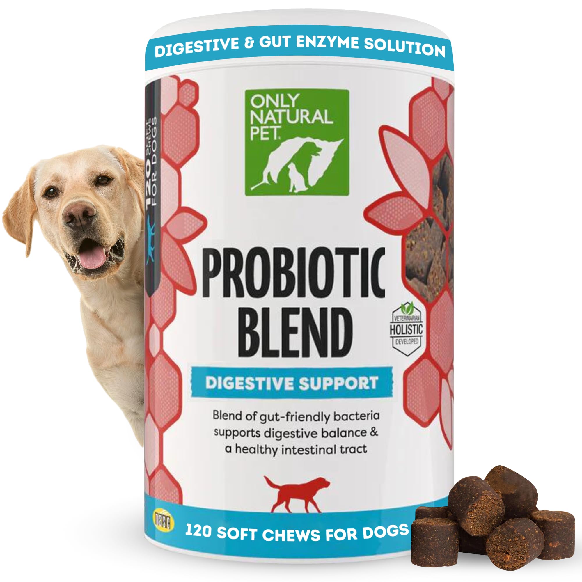 Only Natural Pet Probiotique — bouteille montrant le complément digestif pour chiens et chats.