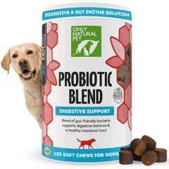Only Natural Pet Probiotique — bouteille montrant le complément digestif pour chiens et chats.