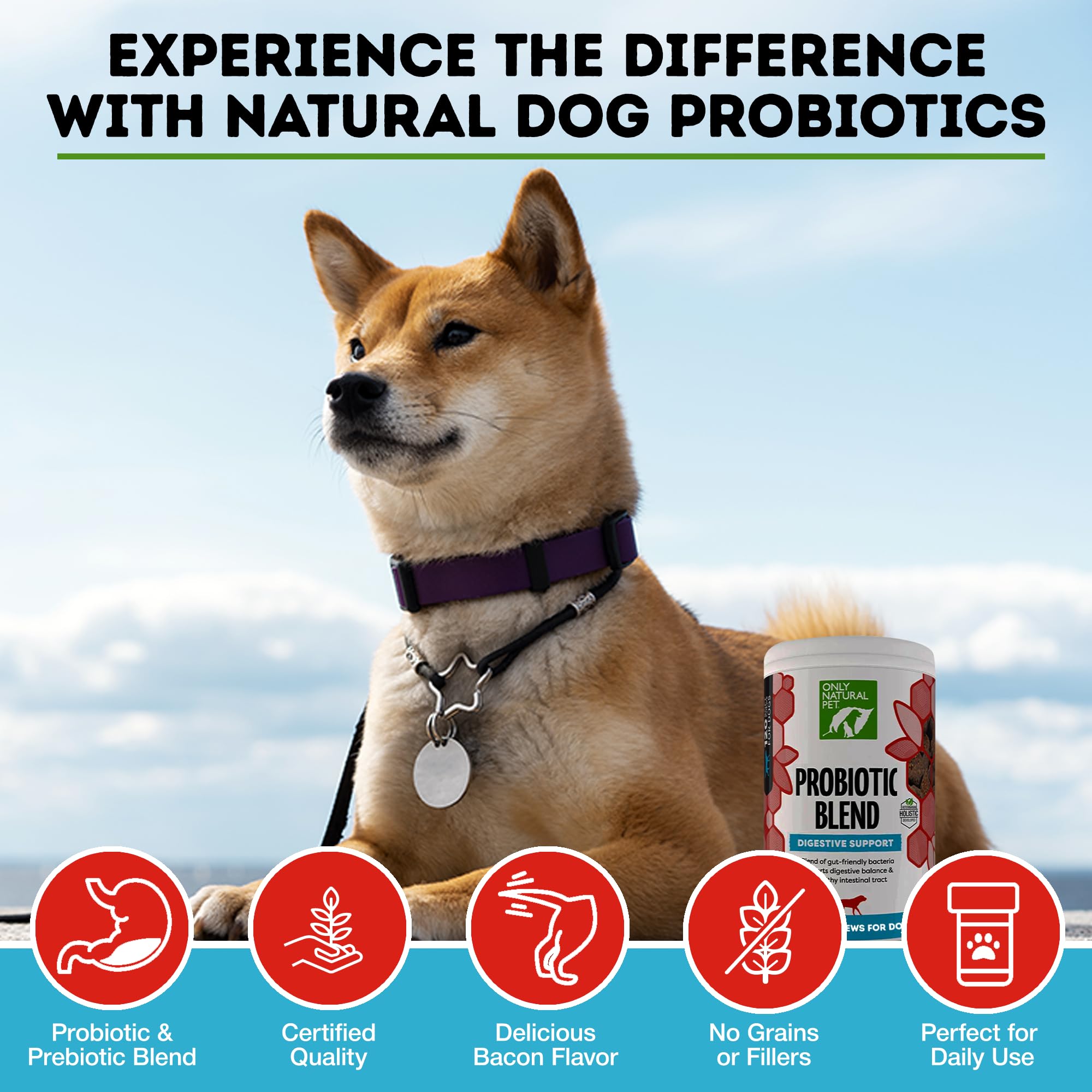 Only Natural Pet Probiotique — étiquette du produit indiquant fabrication USA et ingrédients.