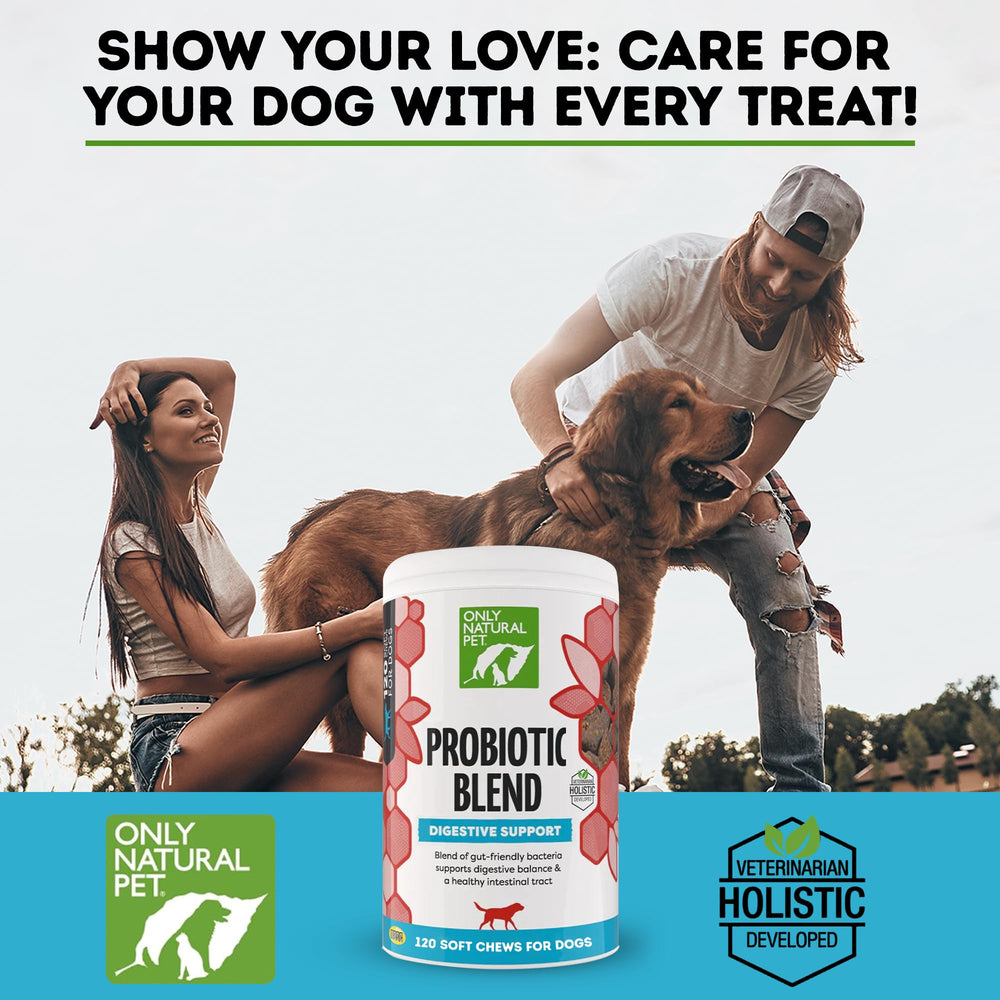 Only Natural Pet Probiotique — gommes digestives pour chiens et chats, faciles à proposer.