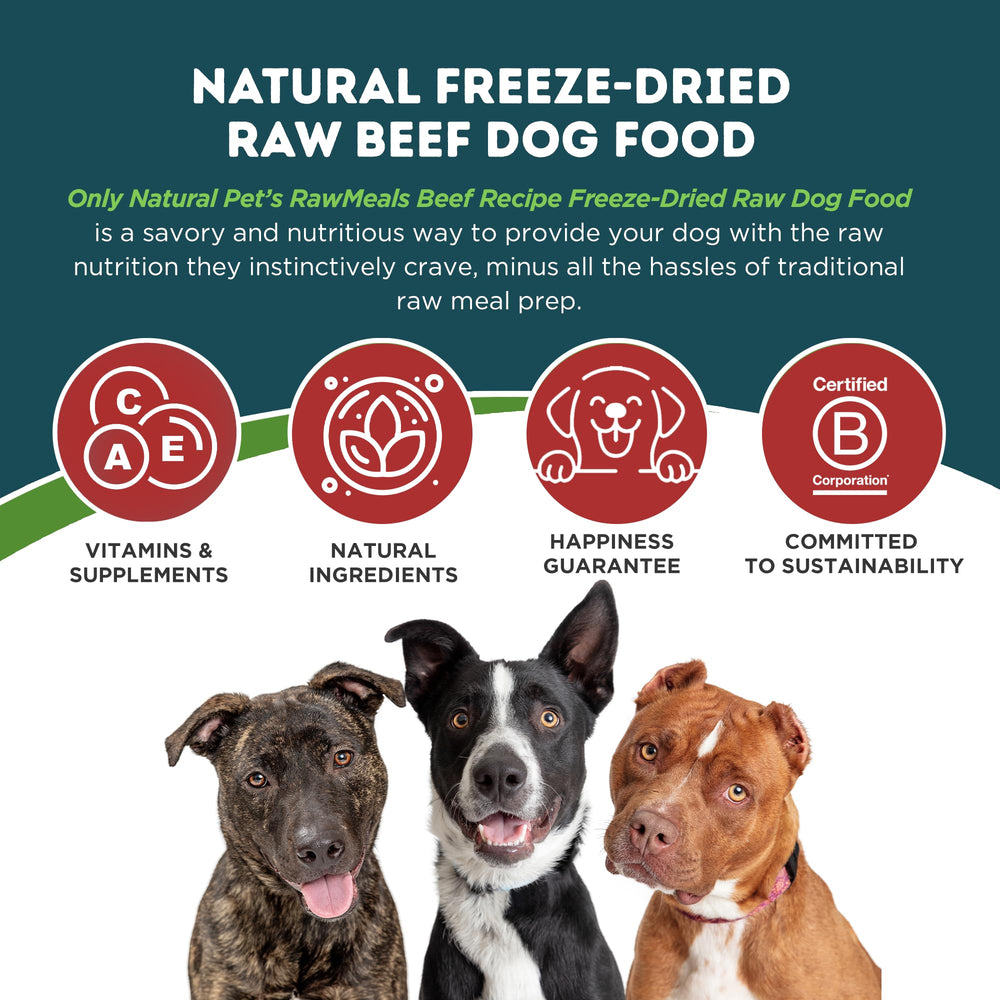 Only Natural Pet RawMeals boeuf prêt à servir, idéal comme repas rapide.