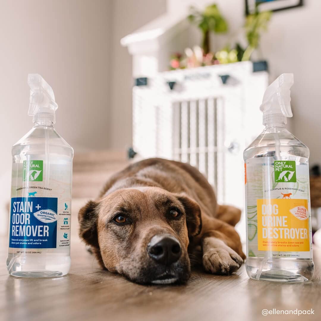 Only Natural Pet senteur mandarine thé vert — parfum frais durable.